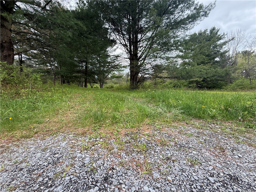 Caswell Road Freeville, NY 13068 - Photo 2 of 47