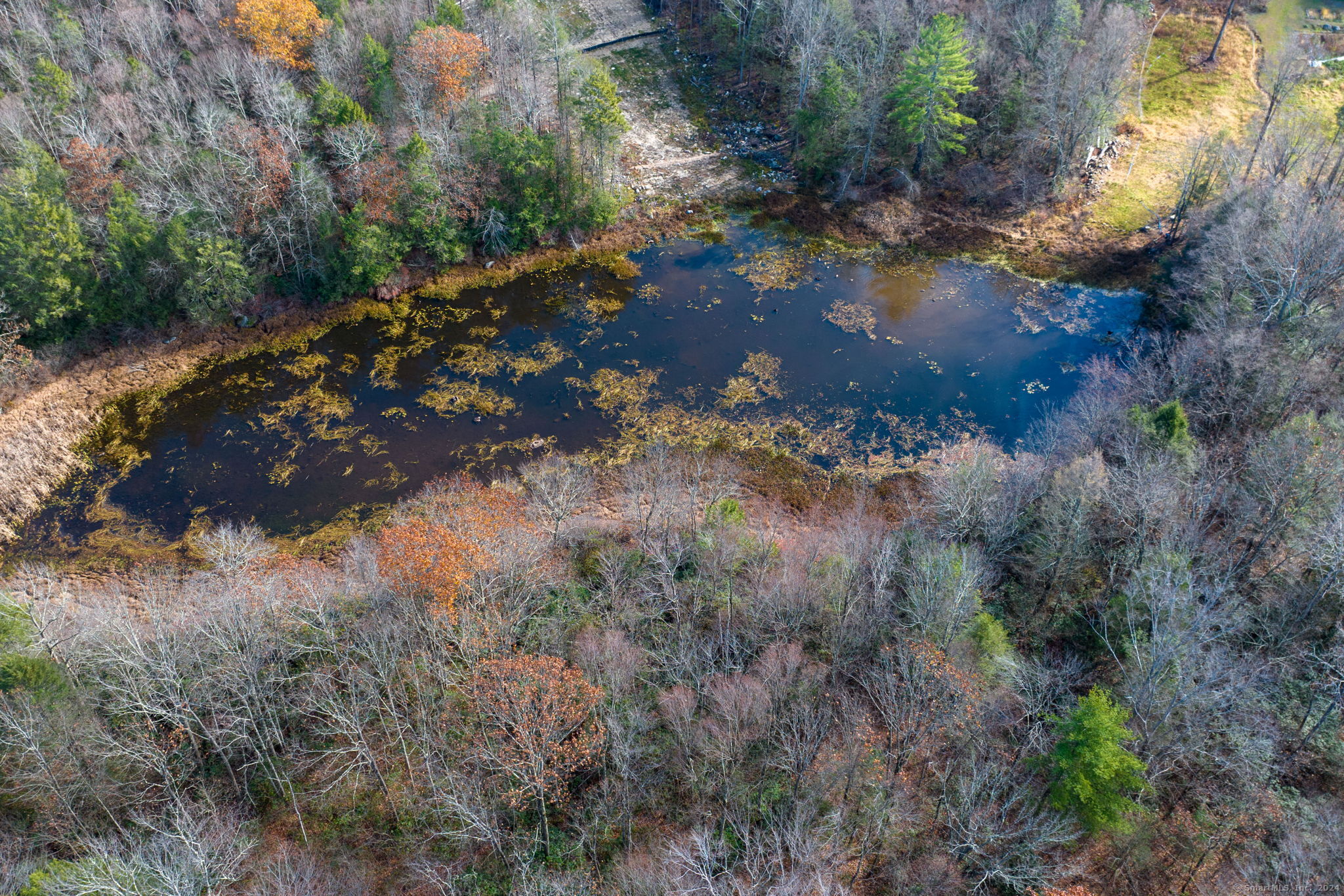 Meyer Road Torrington, CT 06790 - Photo 11 of 31 a view of a forest with a yard