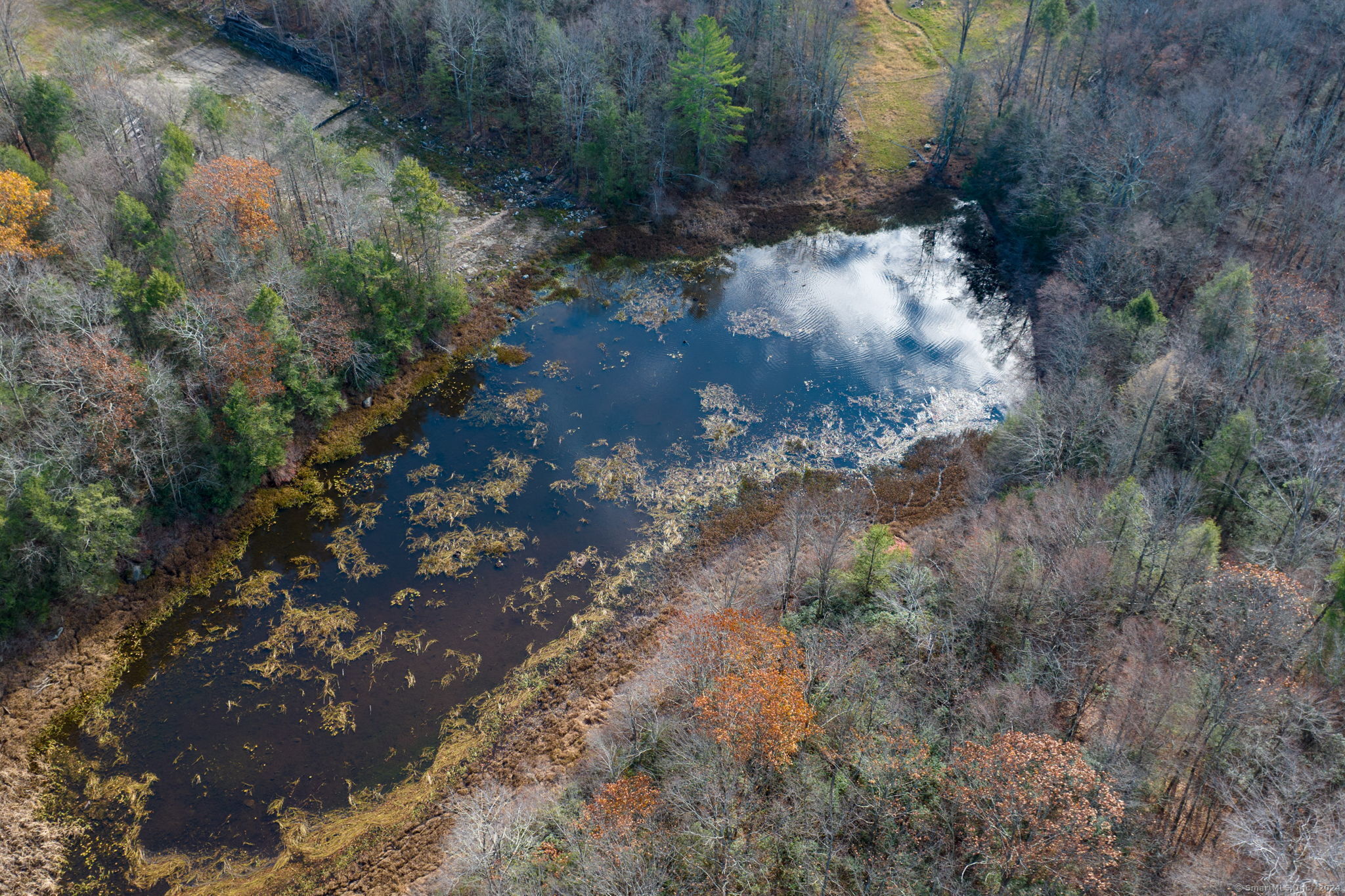 Meyer Road Torrington, CT 06790 - Photo 12 of 31 a view of a yard with plants and large trees