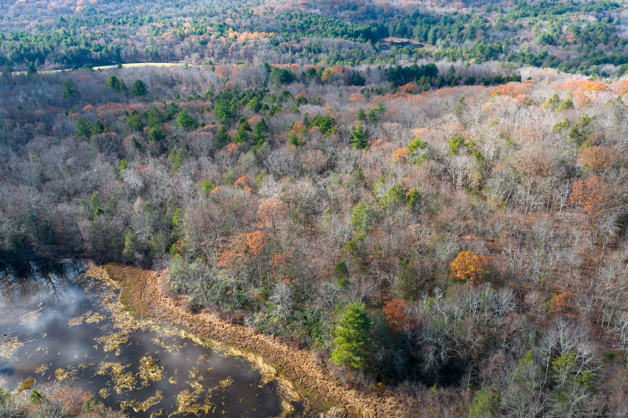 Meyer Road Torrington, CT 06790 - Photo 13 of 31 a view of a lake with a forest