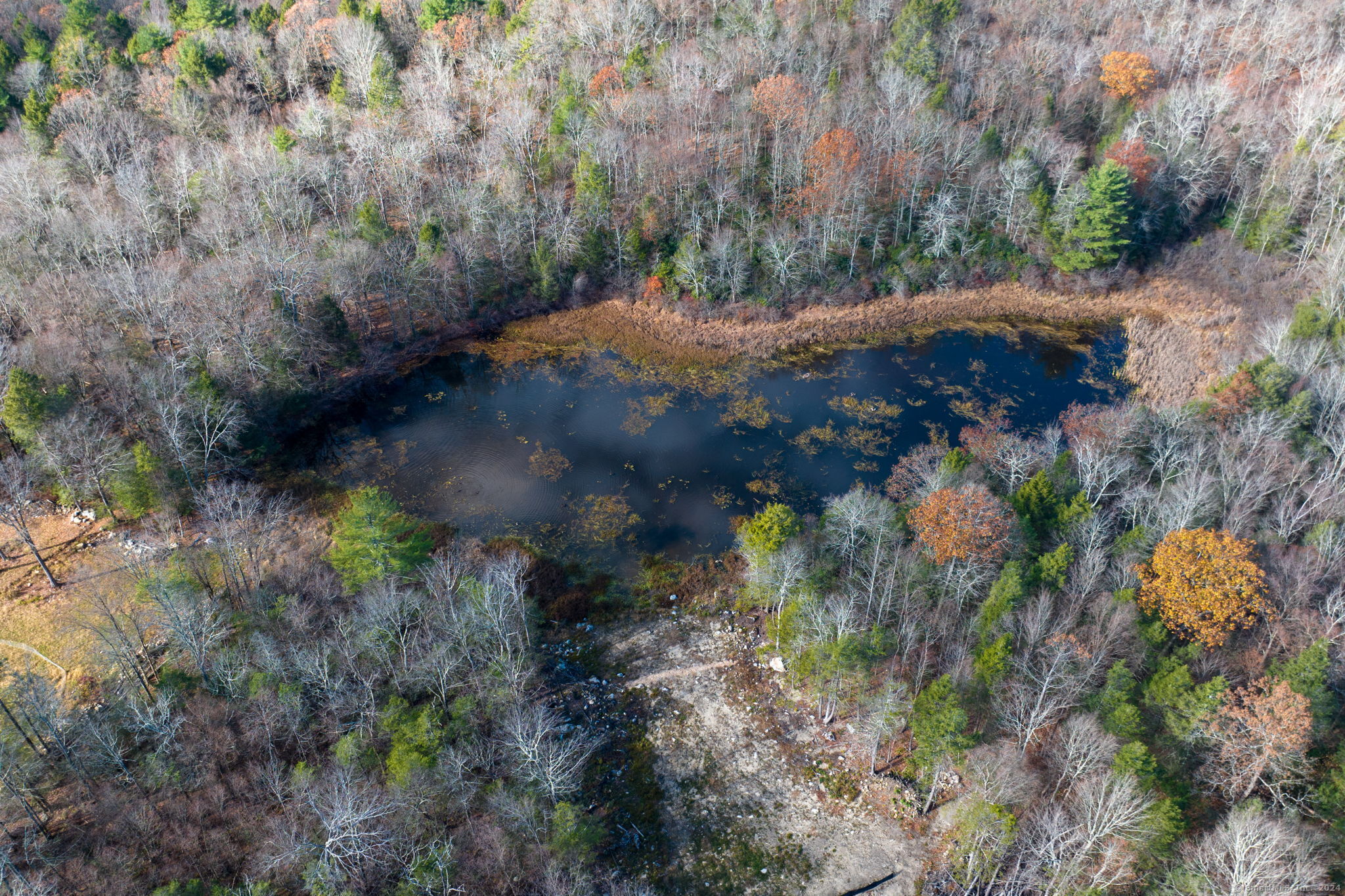Meyer Road Torrington, CT 06790 - Photo 16 of 31 a view of a yard with plants and large trees