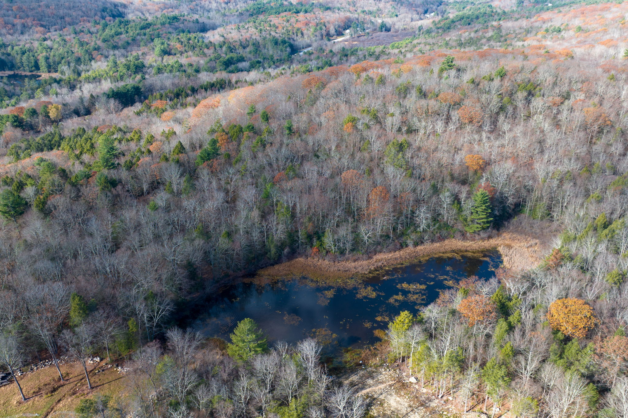 Meyer Road Torrington, CT 06790 - Photo 17 of 31 a view of a forest with a lake