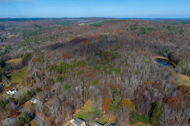 a view of a yard with plants