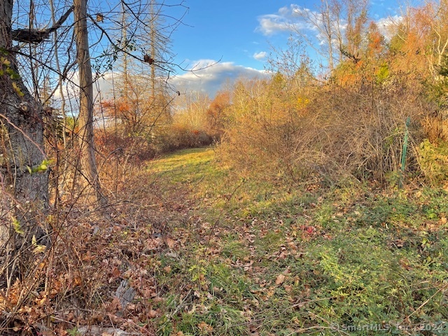 Meyer Road Torrington, CT 06790 - Photo 25 of 31 a view of a yard of the house