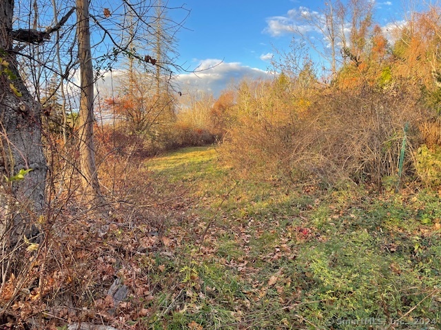 Meyer Road Torrington, CT 06790 - Photo 26 of 31 a view of a yard