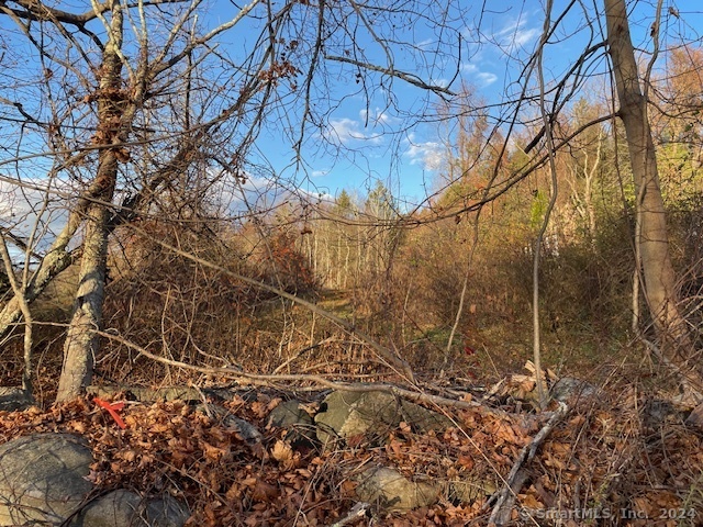 Meyer Road Torrington, CT 06790 - Photo 27 of 31 a view of a yard with plants and wooden fence