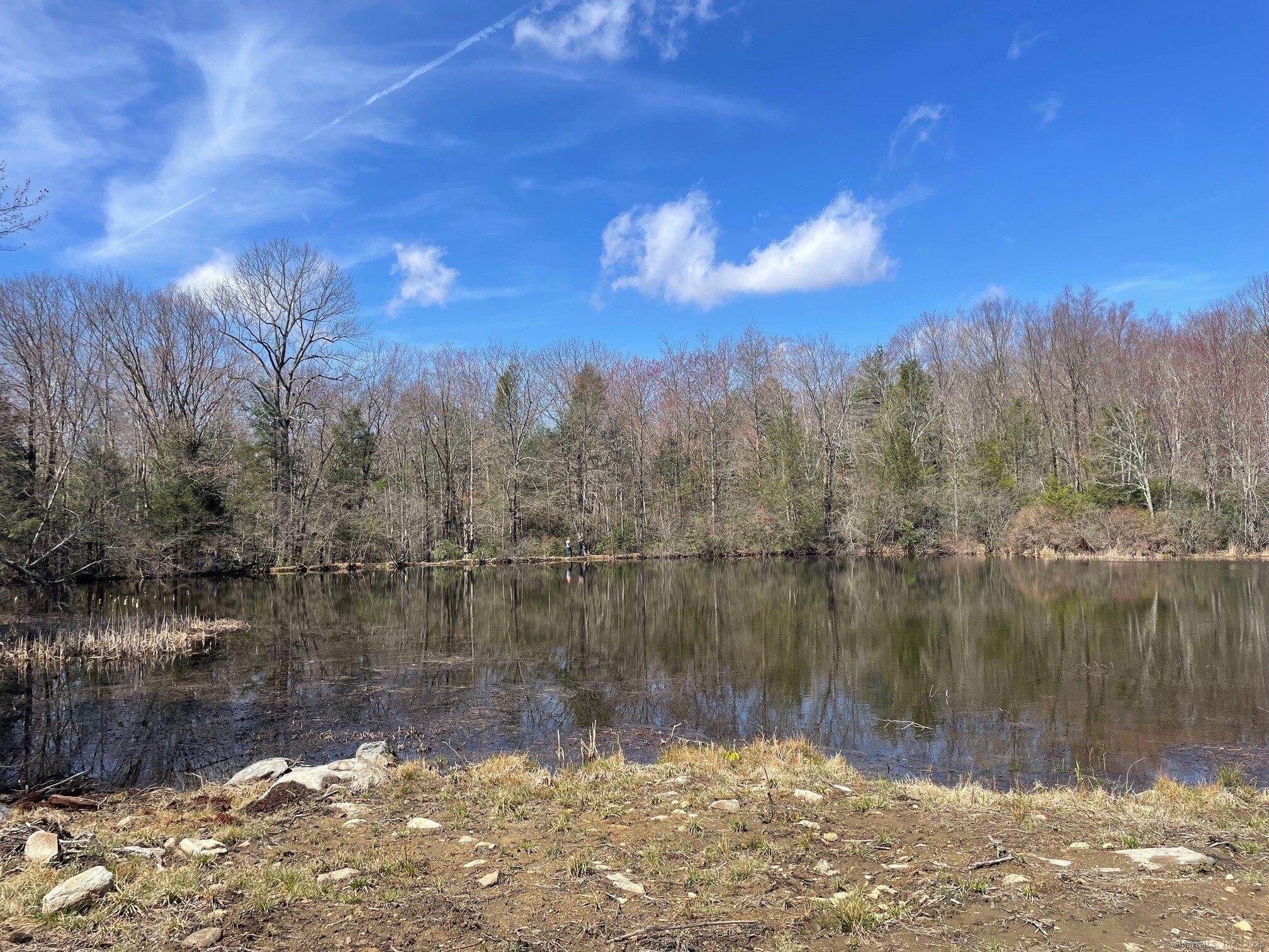 Meyer Road Torrington, CT 06790 - Photo 31 of 31 a view of a lake with a yard