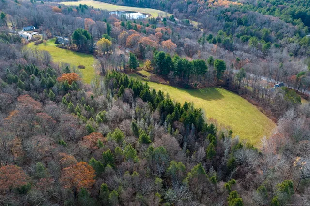 an aerial view of a house with a yard and lake view