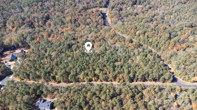 a view of a dry yard