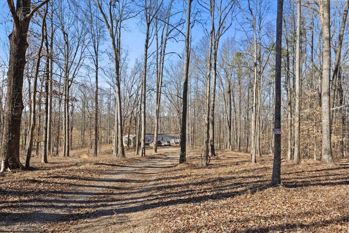 559 Mccamy Sumach Road Chatsworth, GA 30705 - Photo 22 of 26 23-IMG_8361