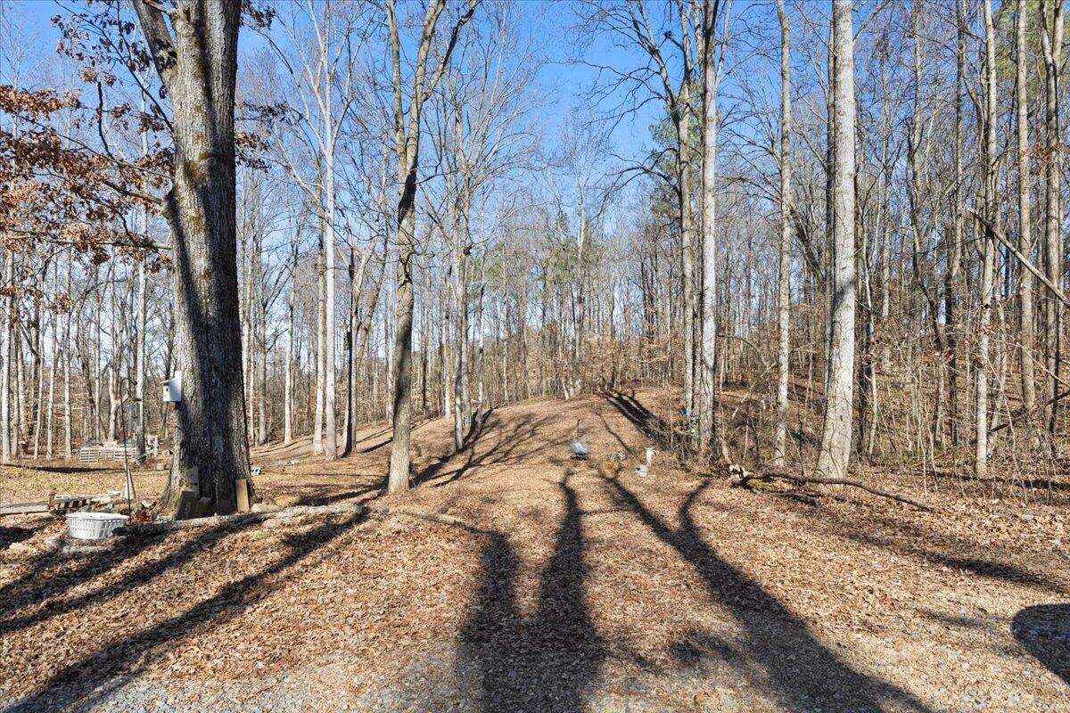 559 Mccamy Sumach Road Chatsworth, GA 30705 - Photo 25 of 26 26-IMG_8358