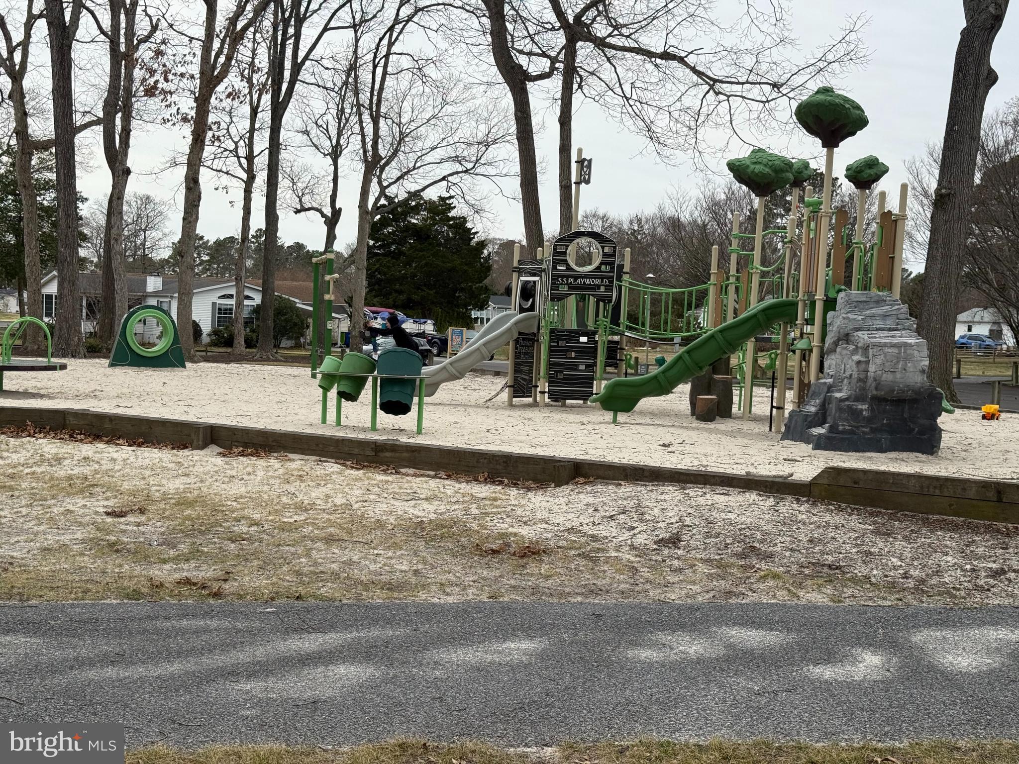 34291 Bayberry Road Millsboro, DE 19966 - Photo 23 of 41 Treasure Hunting Playground