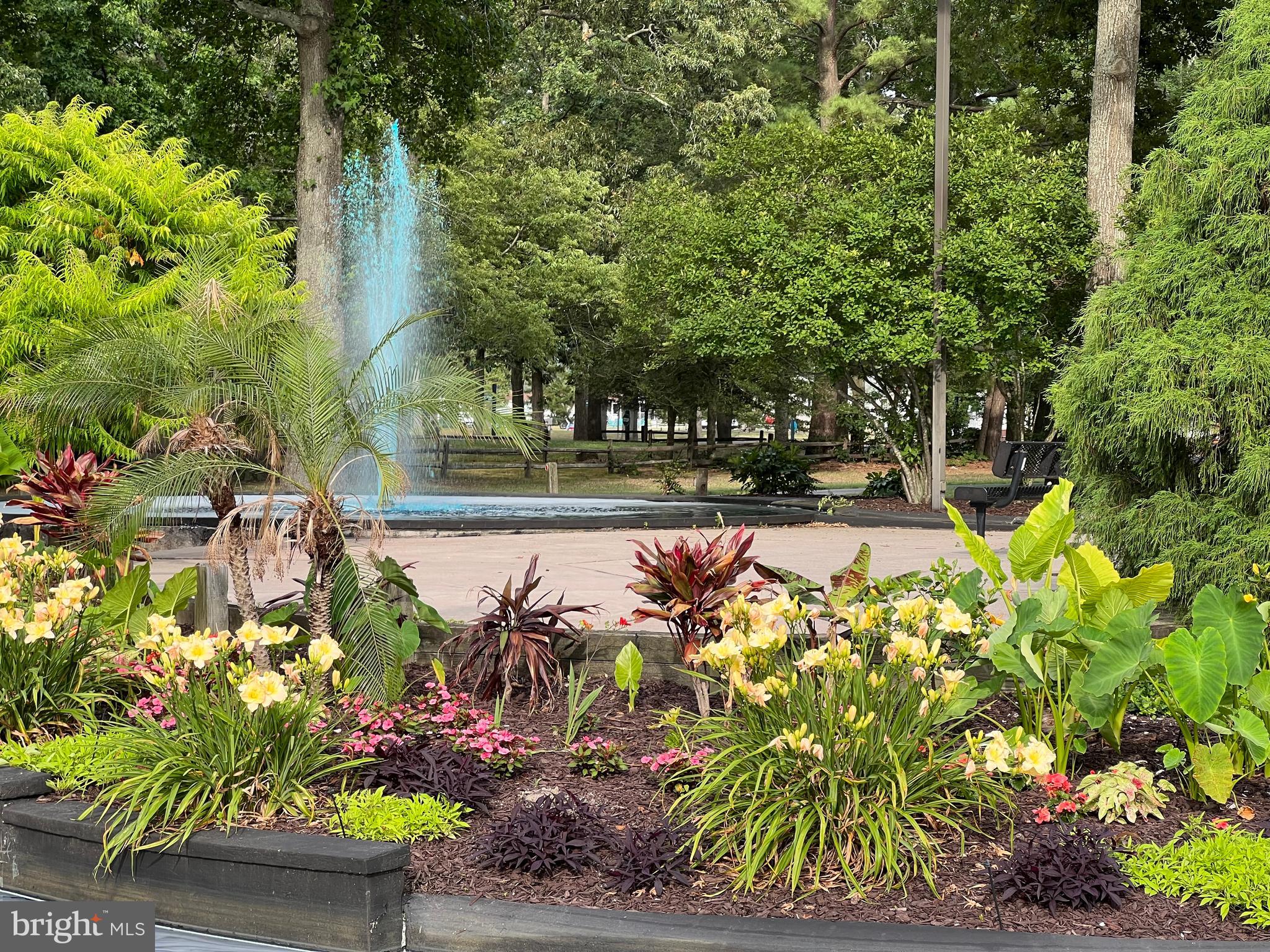 34291 Bayberry Road Millsboro, DE 19966 - Photo 27 of 41 The Infamous Gatorade pond