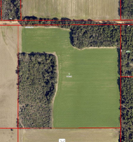 29690 Archie Road Elberta, AL 36530 - Photo 1 of 1