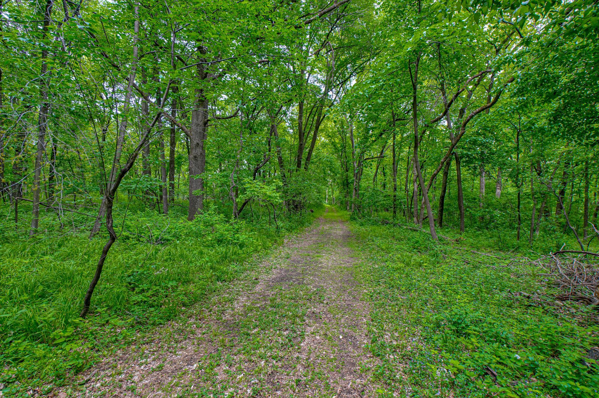 Tbd Grey Cloud Trail South Cottage Grove, MN 55016 - Photo 10 of 40