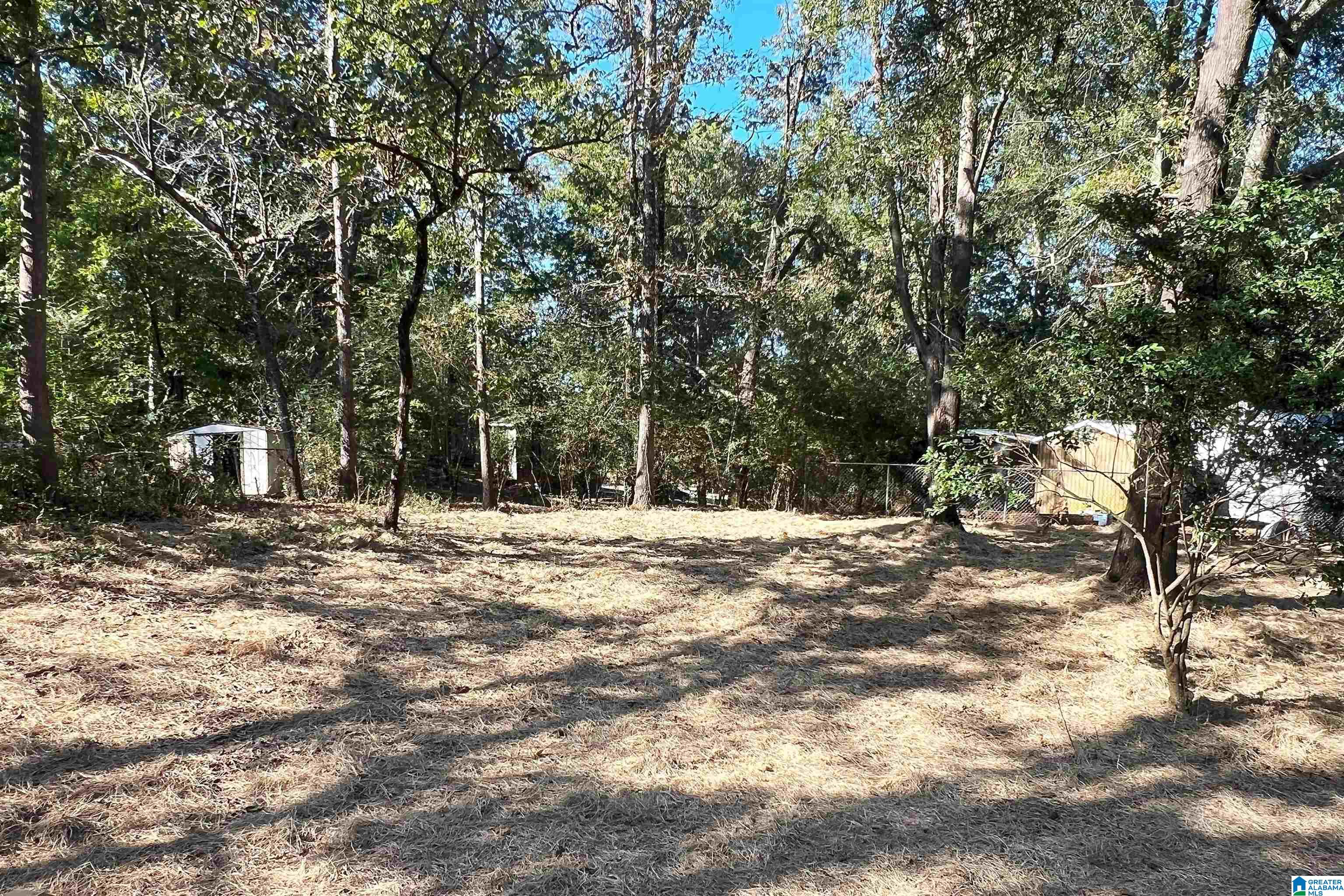 3144 Wood Valley Road Warrior, AL 35180 - Photo 3 of 22