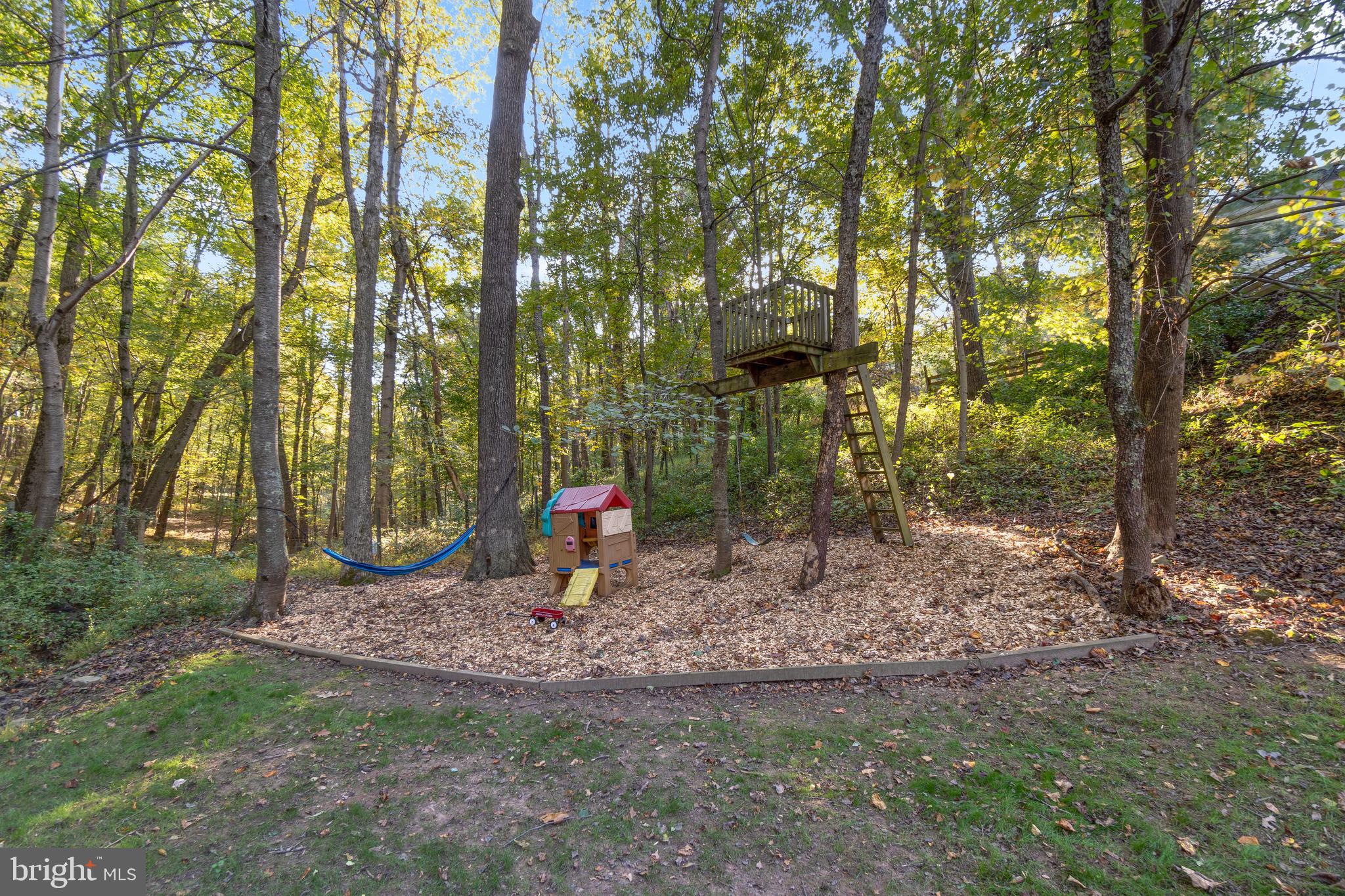 14835 Cemetery Road Cooksville, MD 21723 - Photo 35 of 41 Rear Yard
