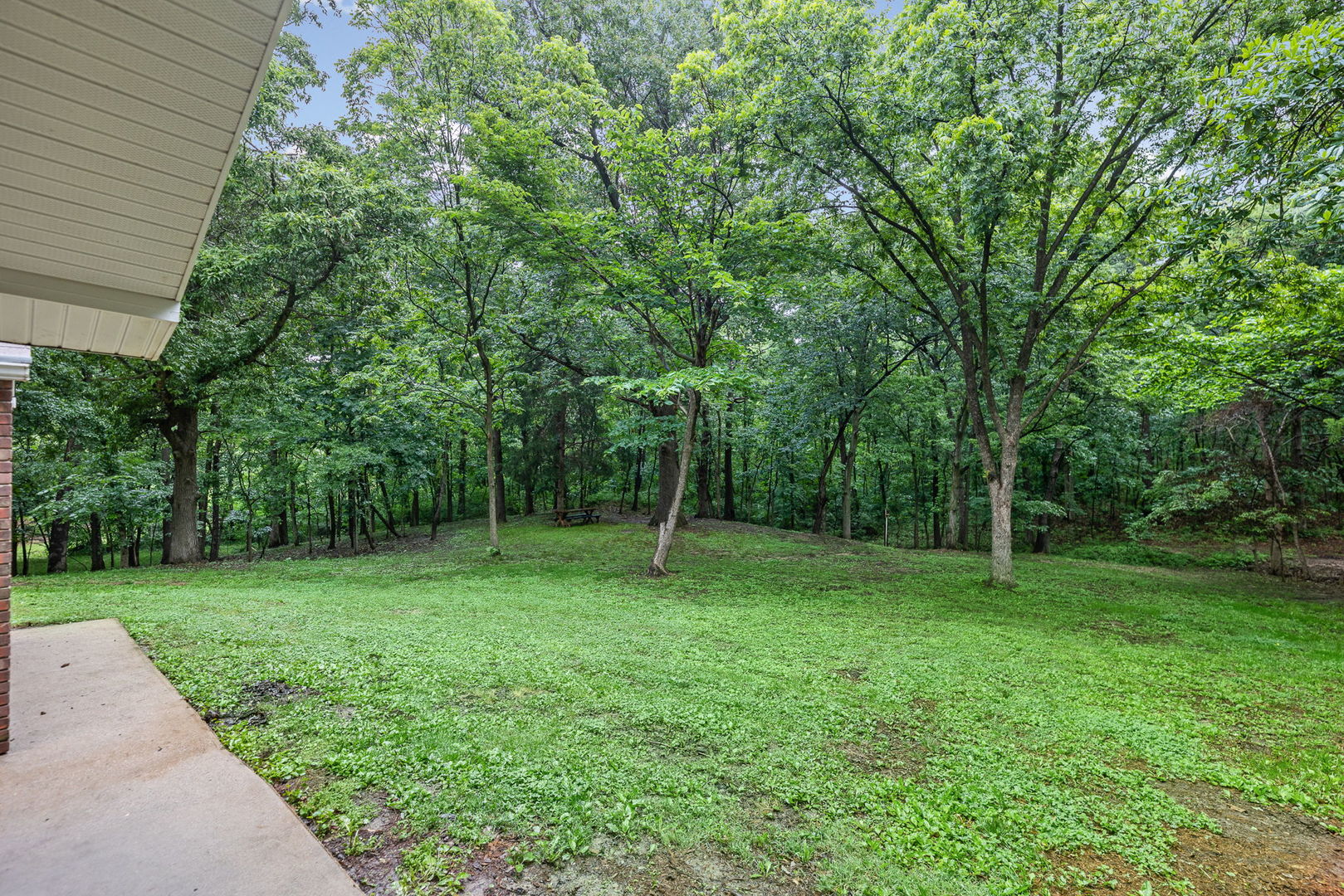 414 Gilliland Road Walnut Hill, IL 62893 - Photo 46 of 50