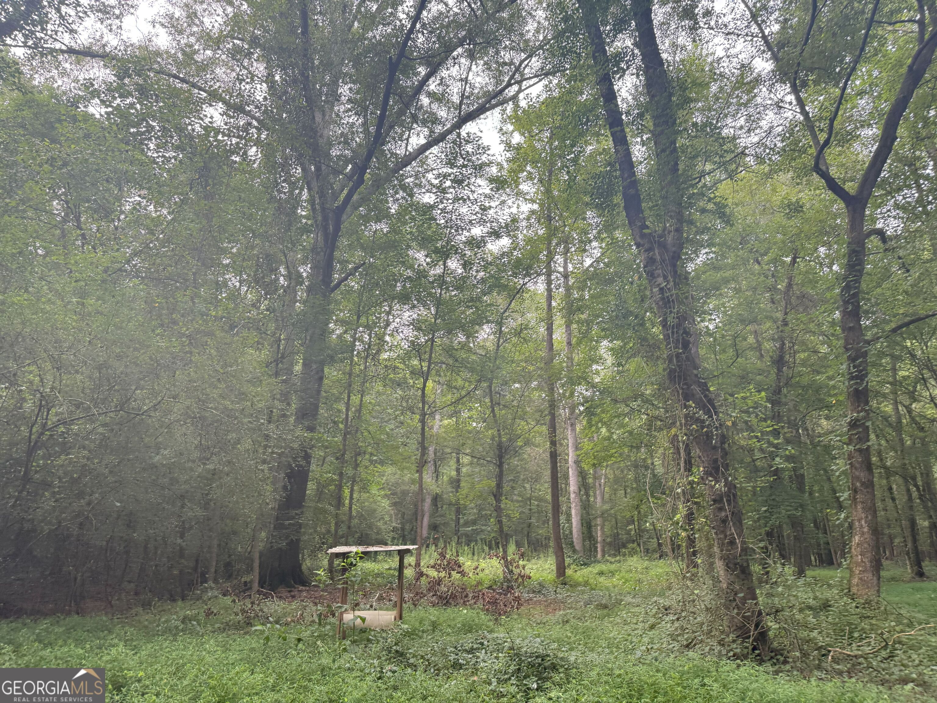 11 Owens Road Maysville, GA 30558 - Photo 101 of 147