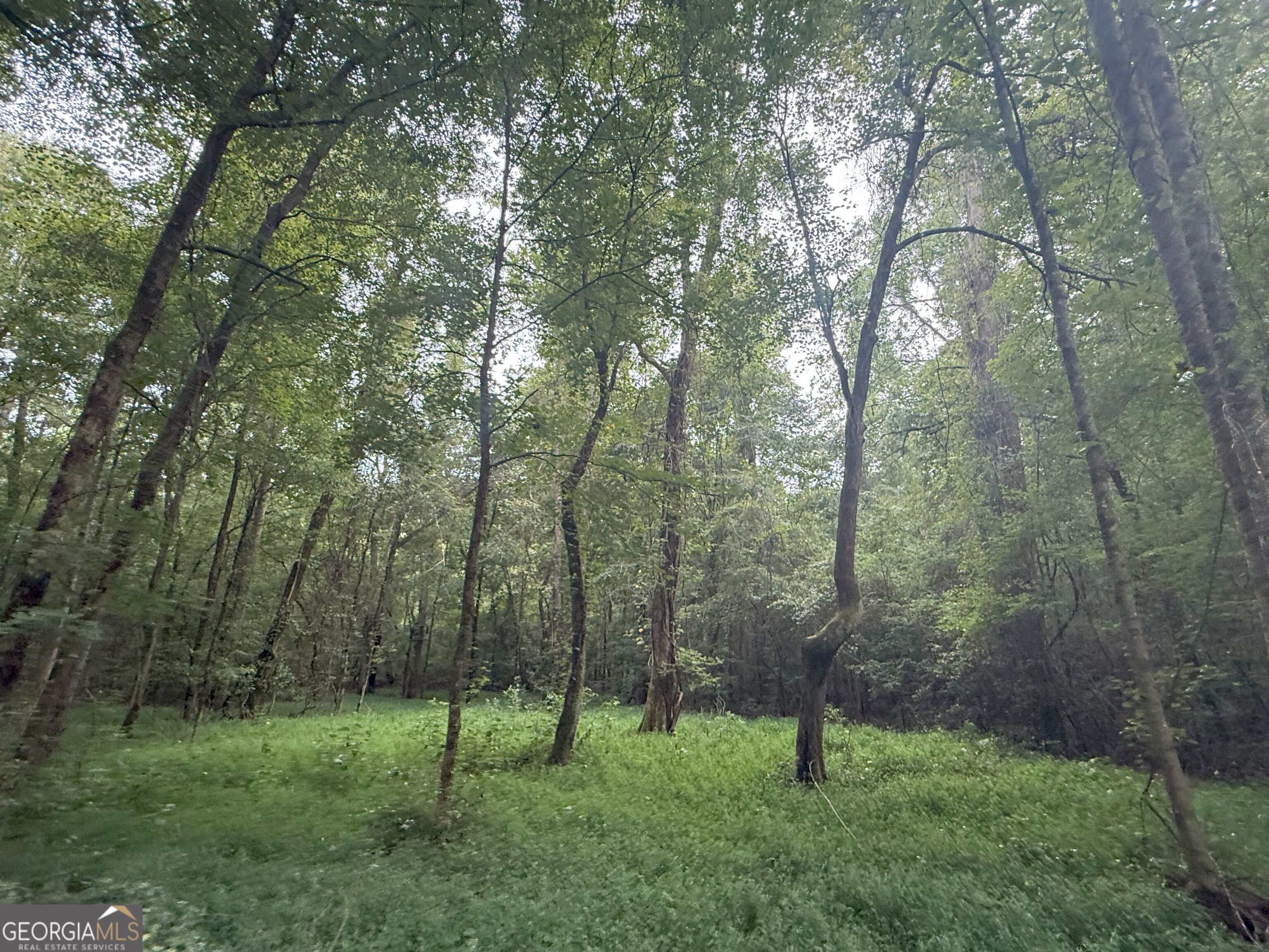 11 Owens Road Maysville, GA 30558 - Photo 104 of 147