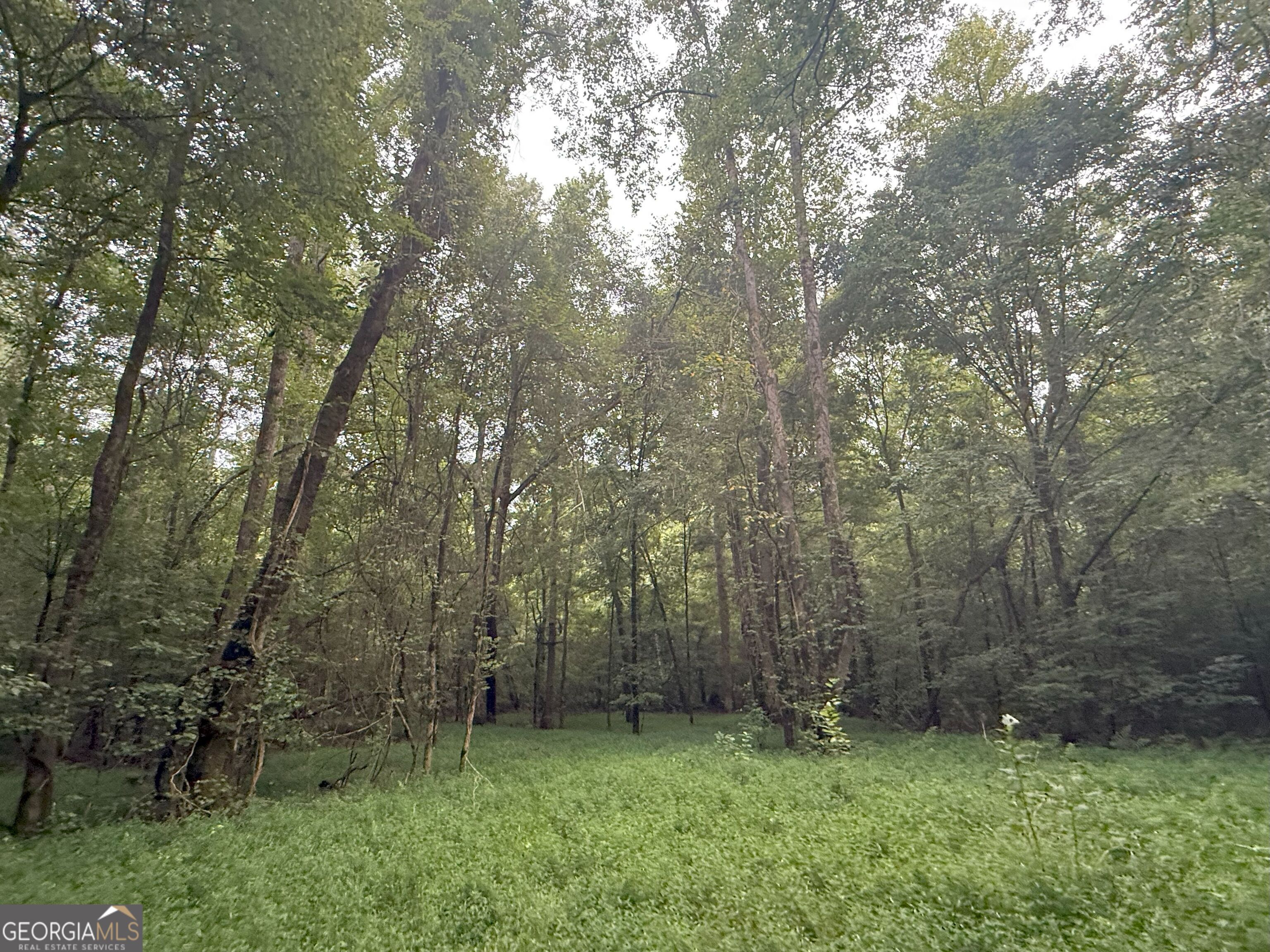 11 Owens Road Maysville, GA 30558 - Photo 105 of 147