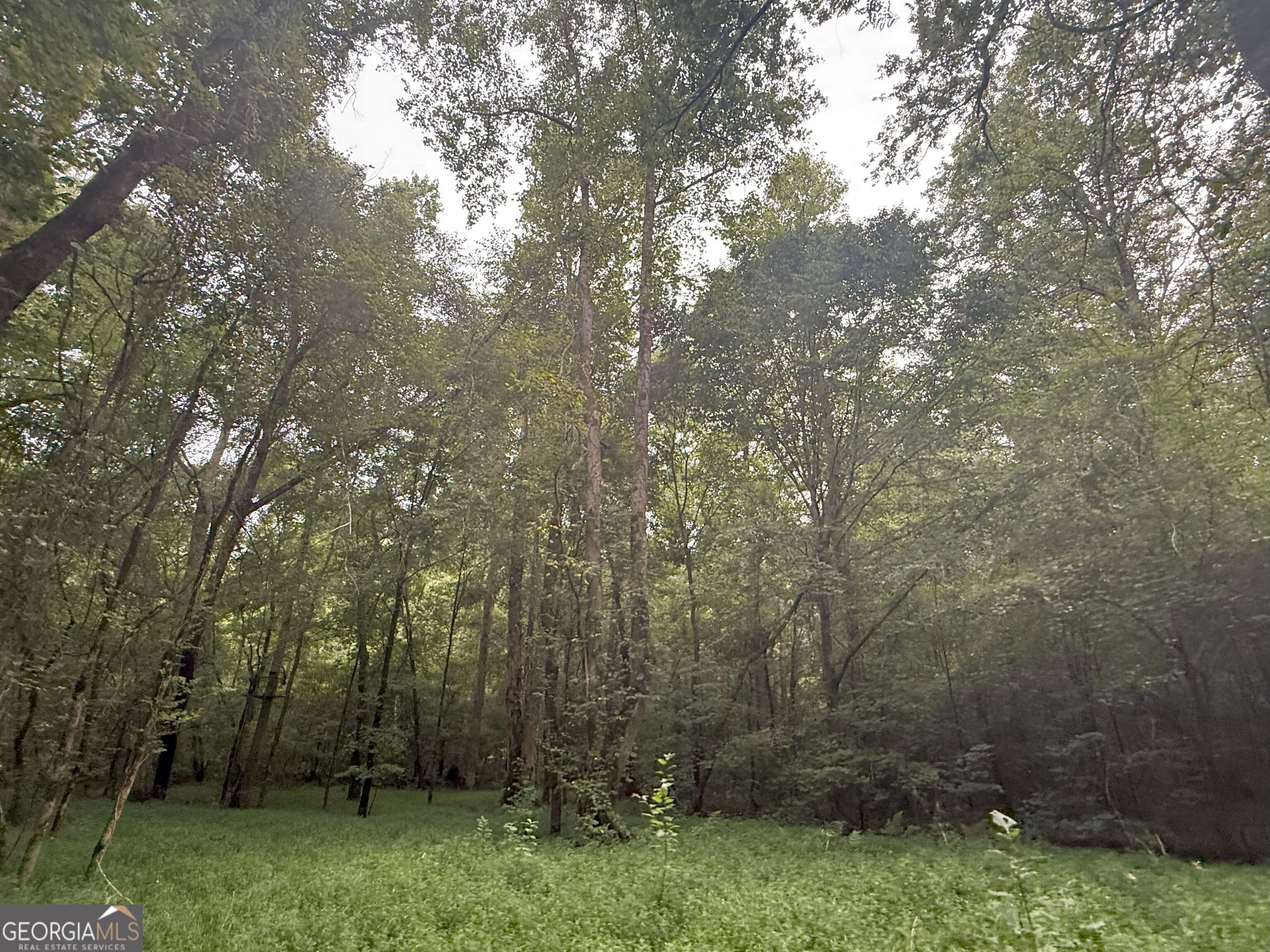 11 Owens Road Maysville, GA 30558 - Photo 106 of 147