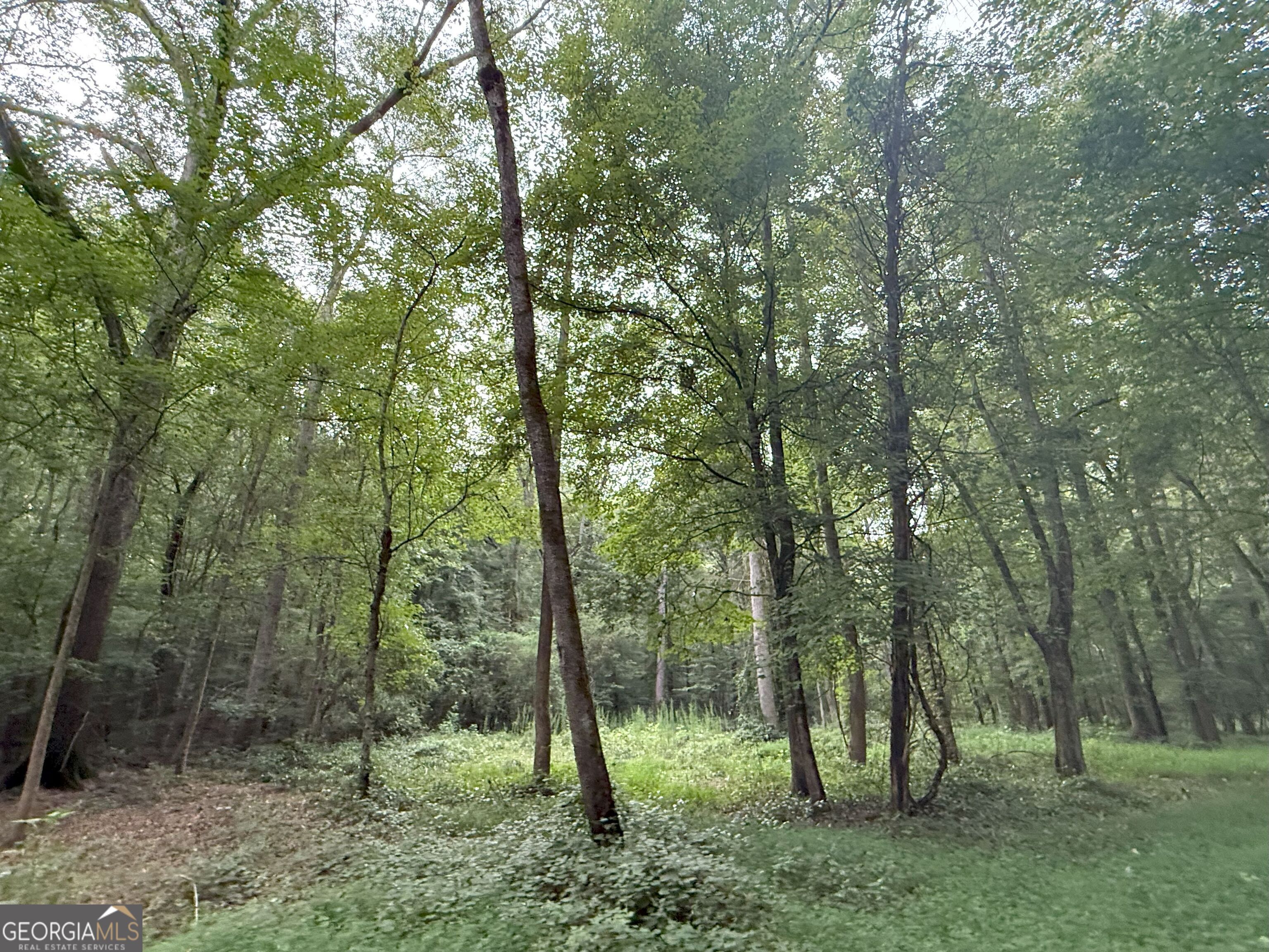 11 Owens Road Maysville, GA 30558 - Photo 108 of 147