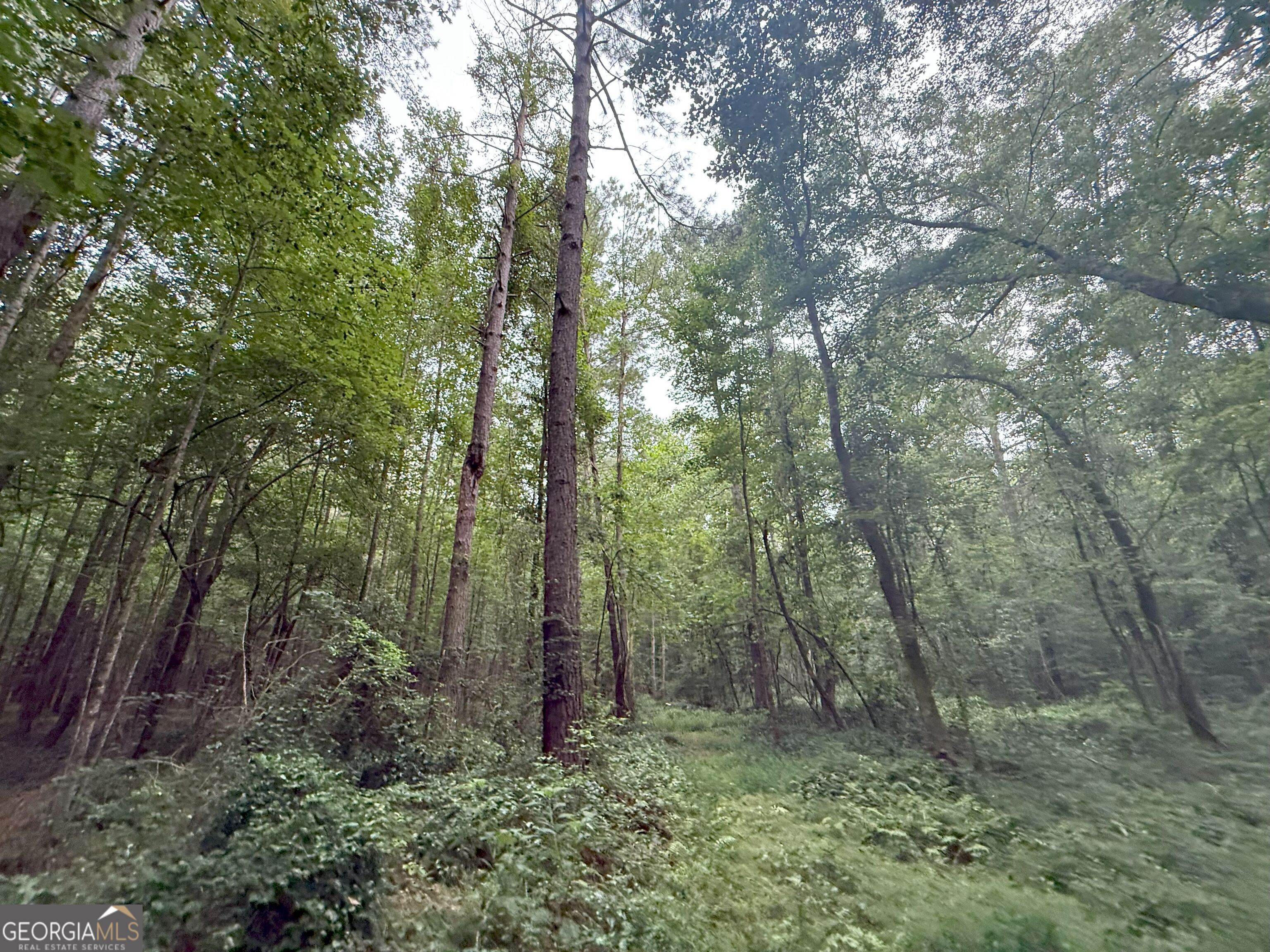 11 Owens Road Maysville, GA 30558 - Photo 112 of 147