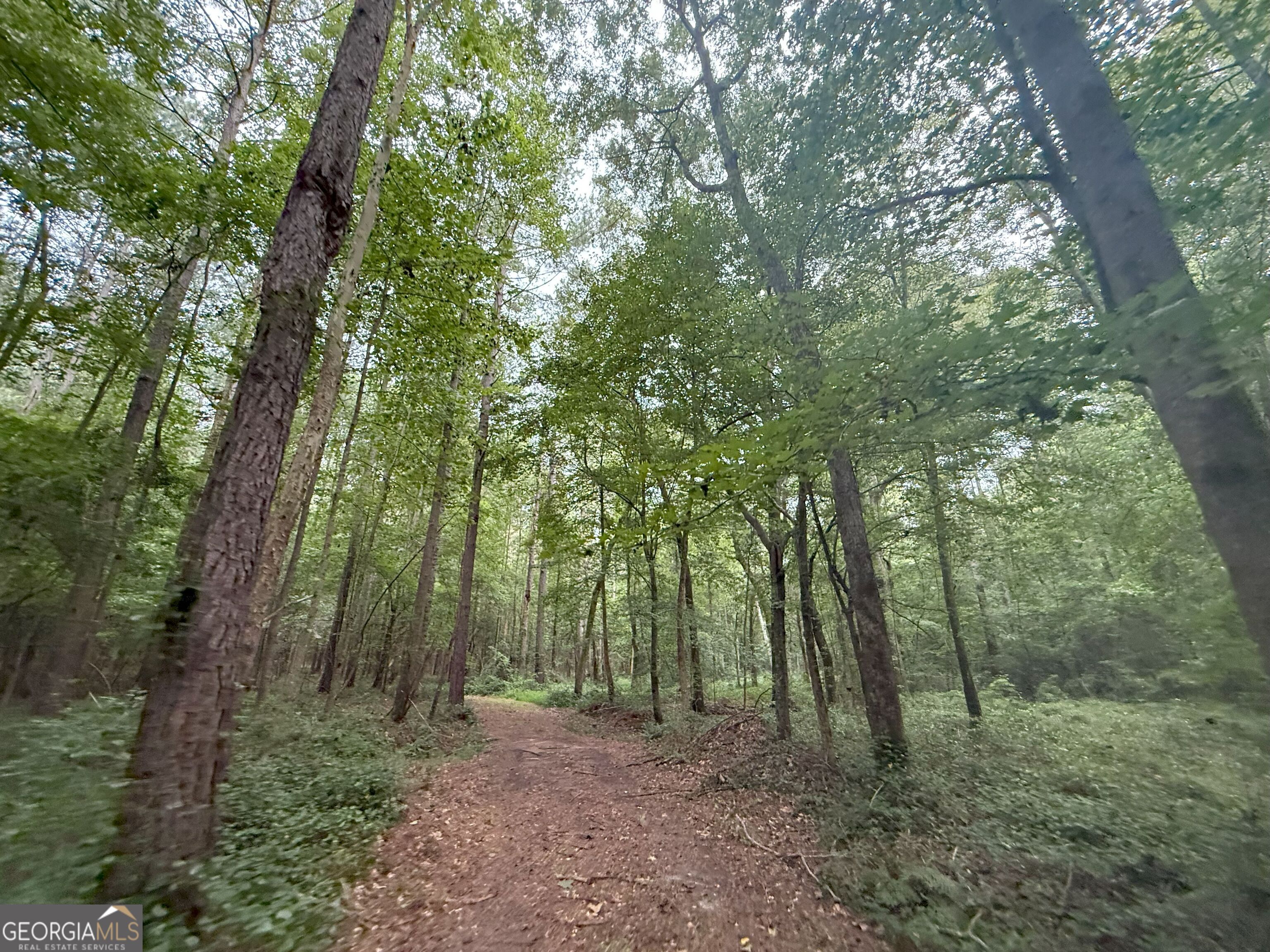 11 Owens Road Maysville, GA 30558 - Photo 113 of 147 a big yard with lots of green space and trees