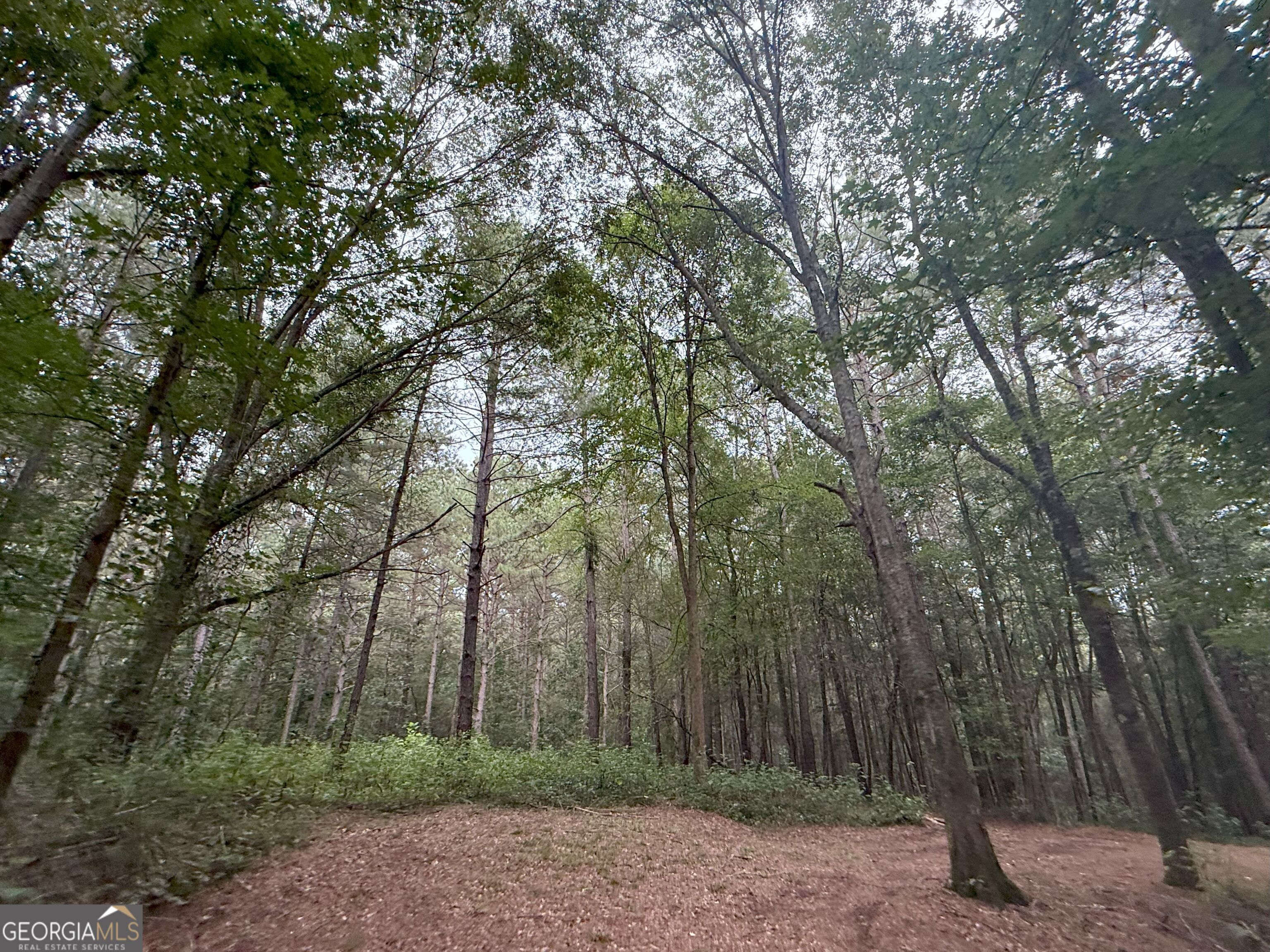 11 Owens Road Maysville, GA 30558 - Photo 115 of 147