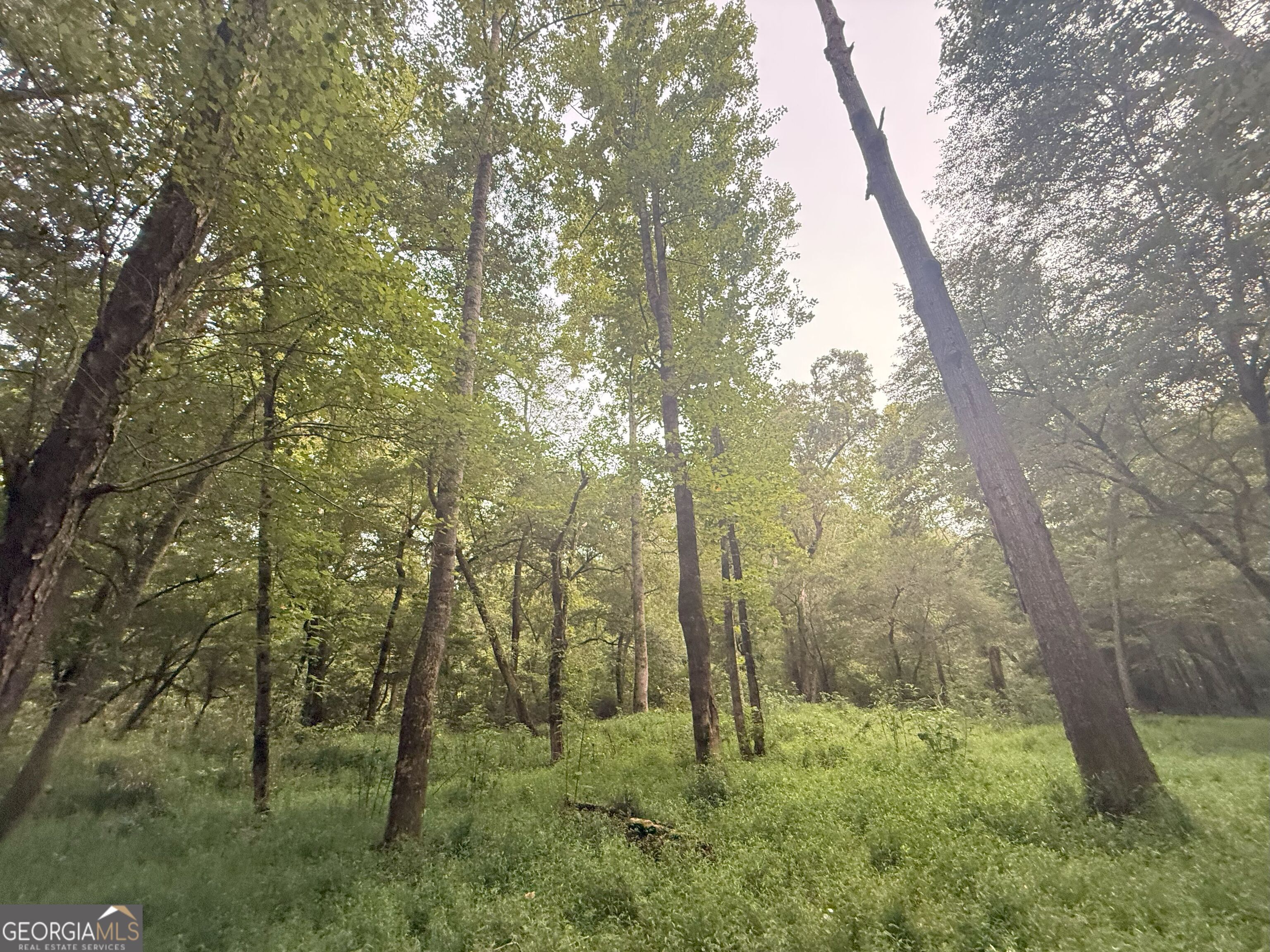 11 Owens Road Maysville, GA 30558 - Photo 12 of 147