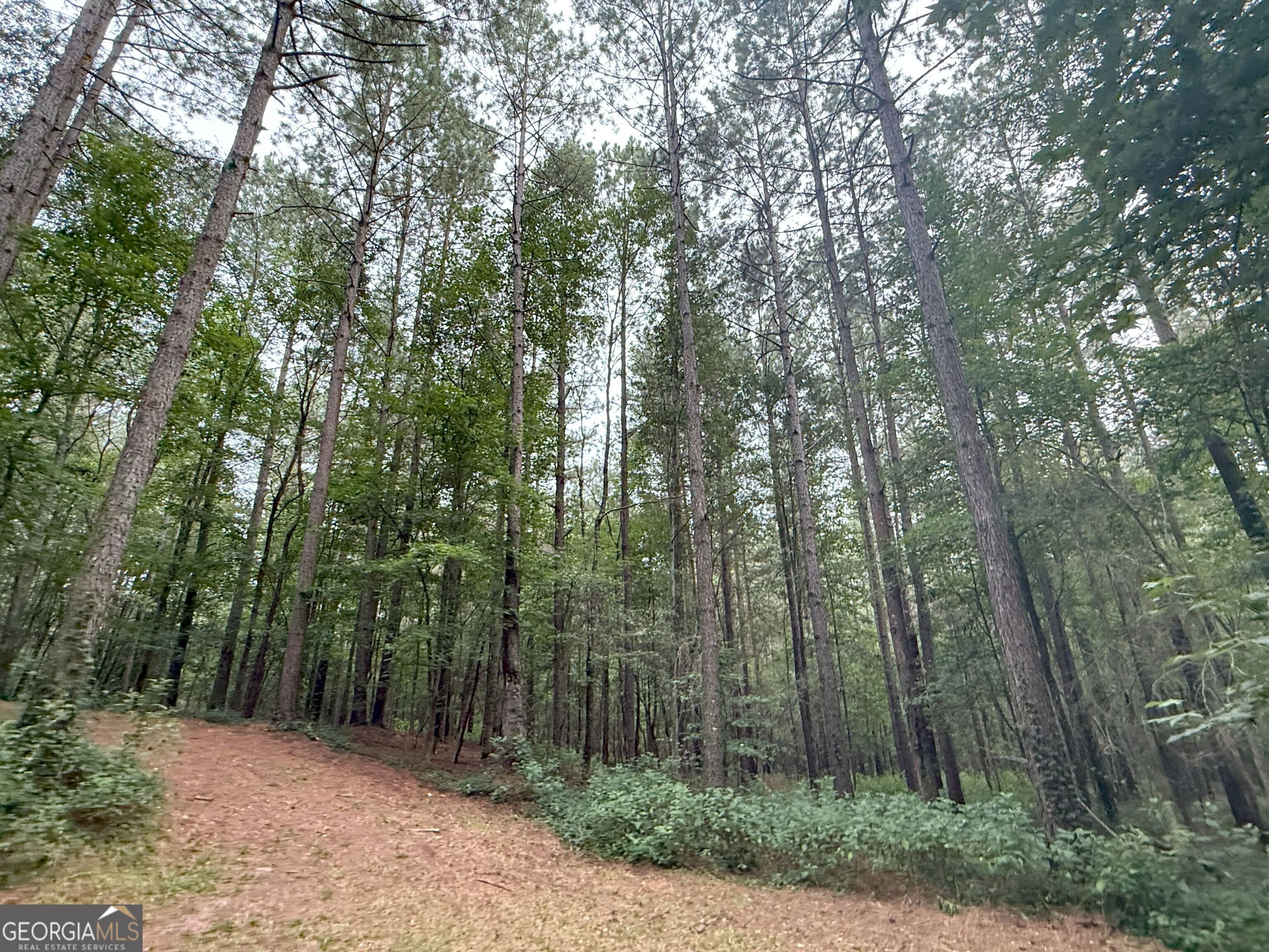 11 Owens Road Maysville, GA 30558 - Photo 121 of 147