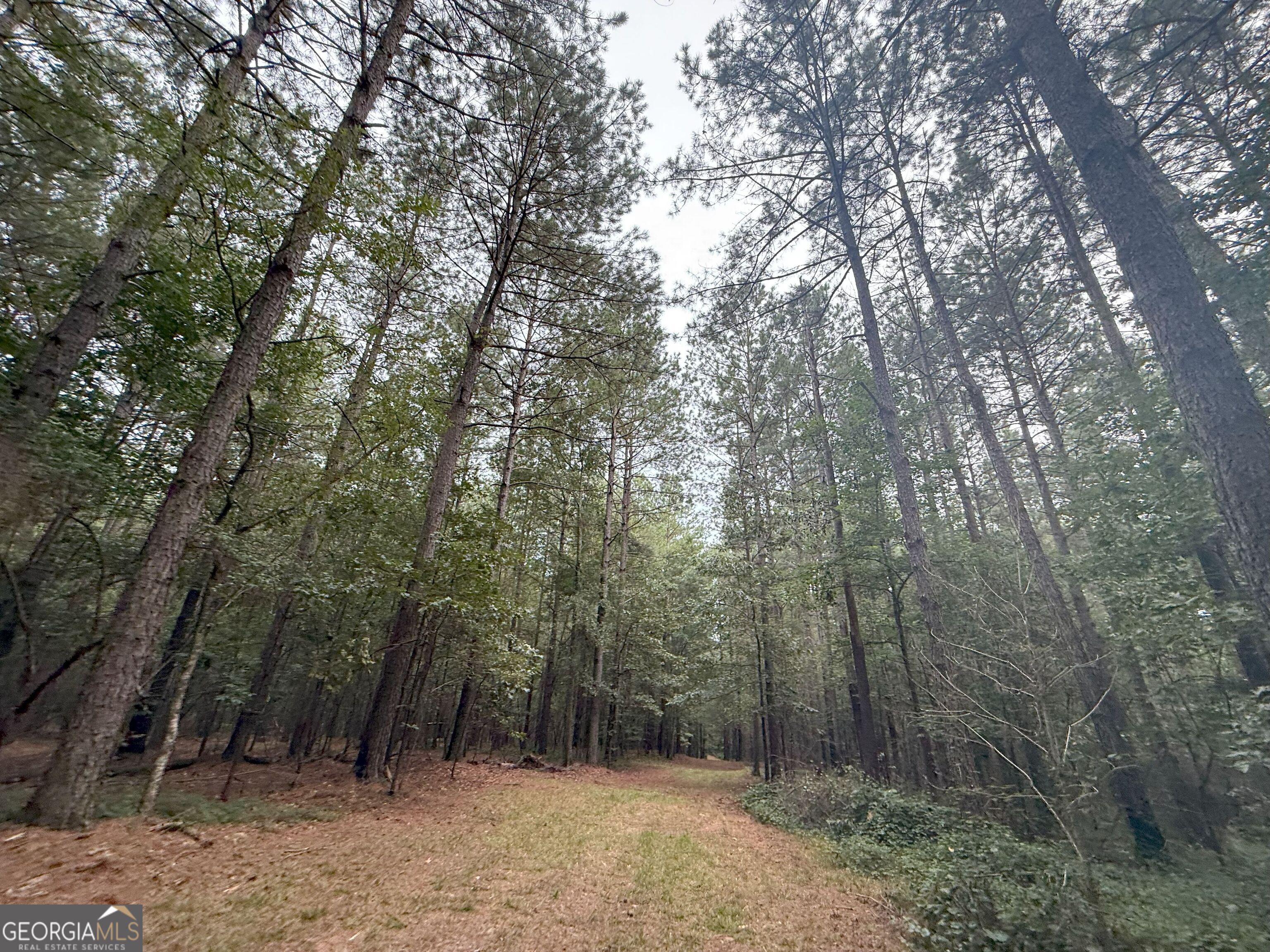 11 Owens Road Maysville, GA 30558 - Photo 124 of 147