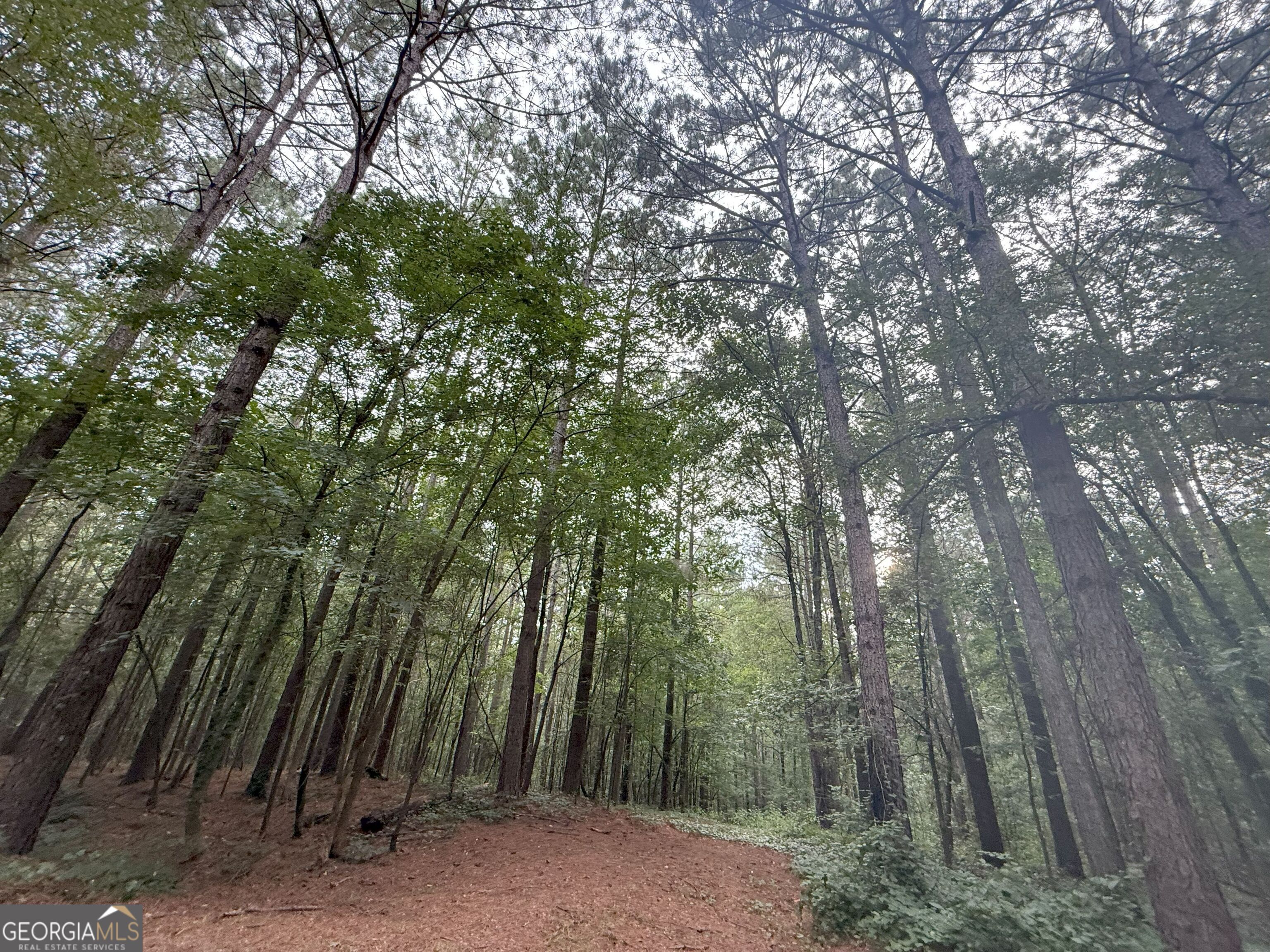 11 Owens Road Maysville, GA 30558 - Photo 128 of 147