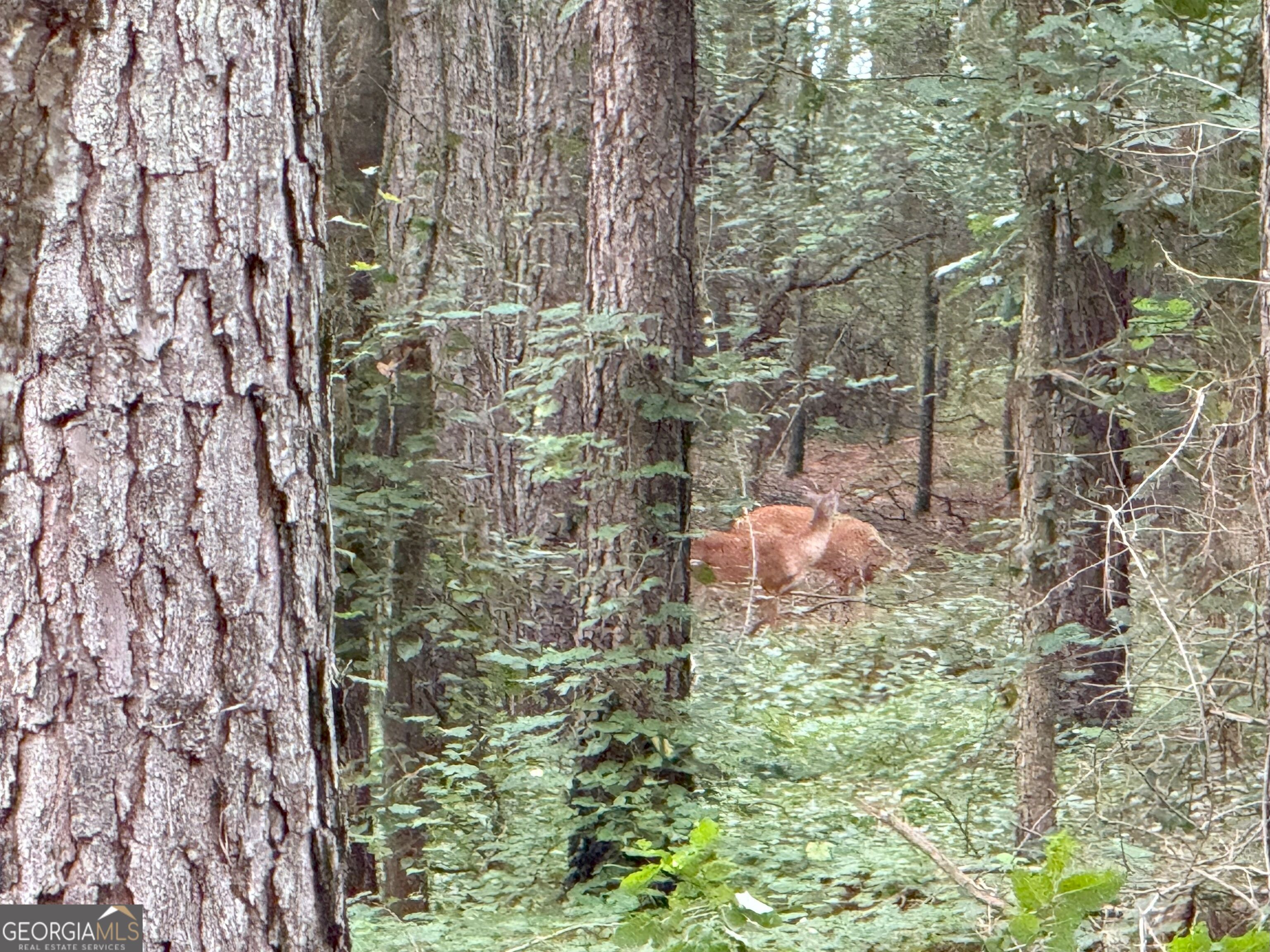 11 Owens Road Maysville, GA 30558 - Photo 129 of 147