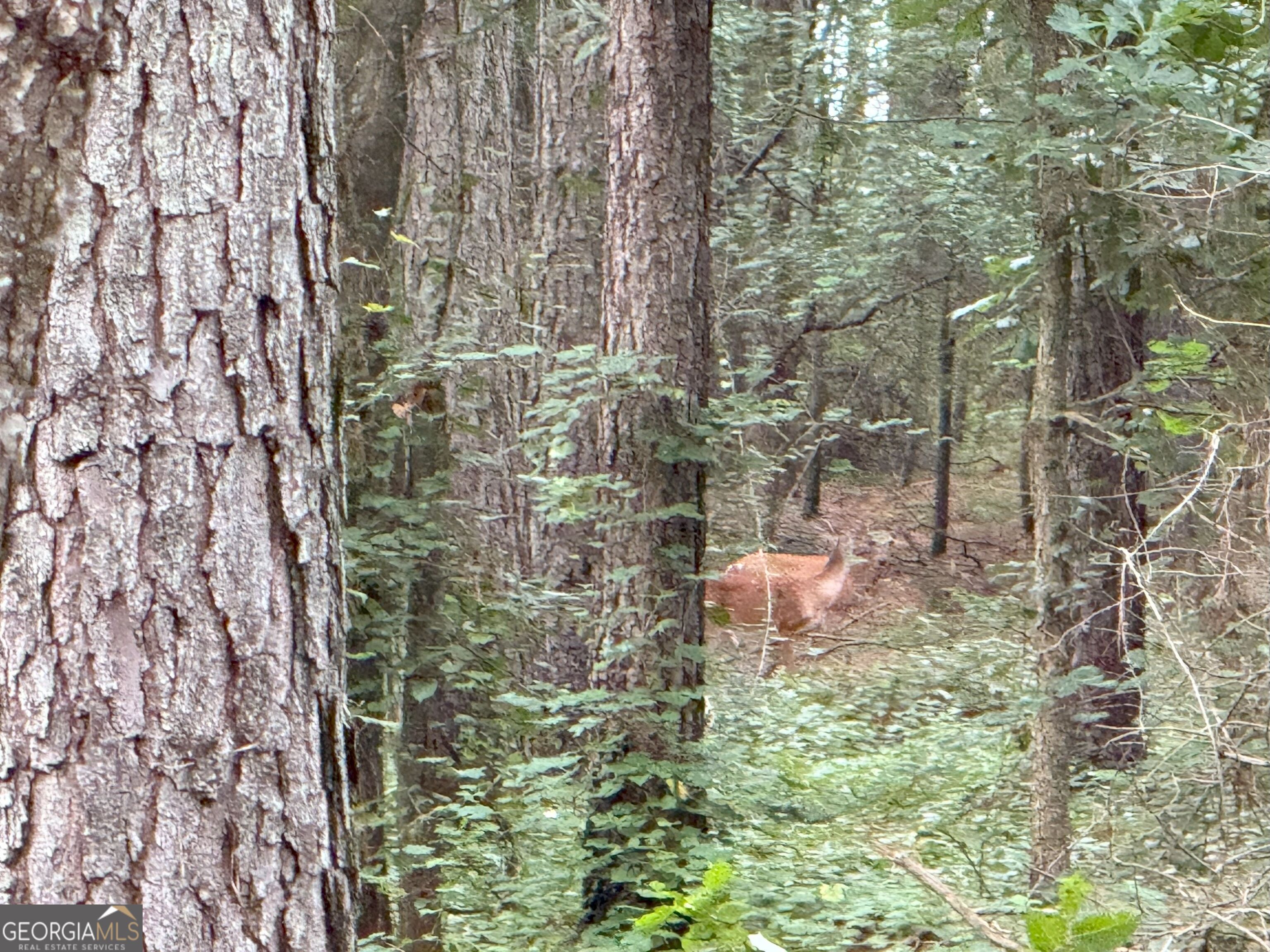 11 Owens Road Maysville, GA 30558 - Photo 132 of 147