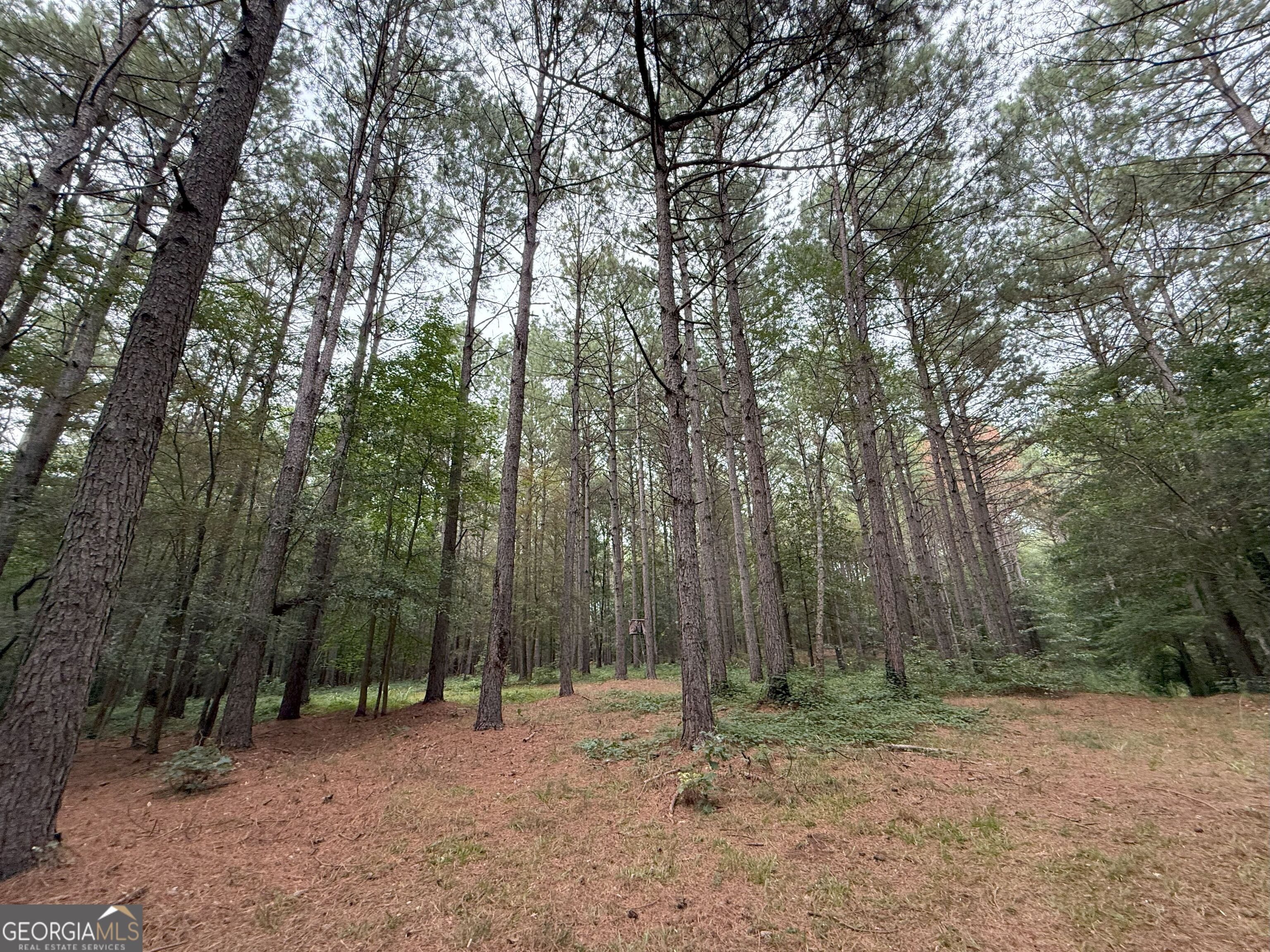 11 Owens Road Maysville, GA 30558 - Photo 133 of 147 a backyard of a house with lots of green space