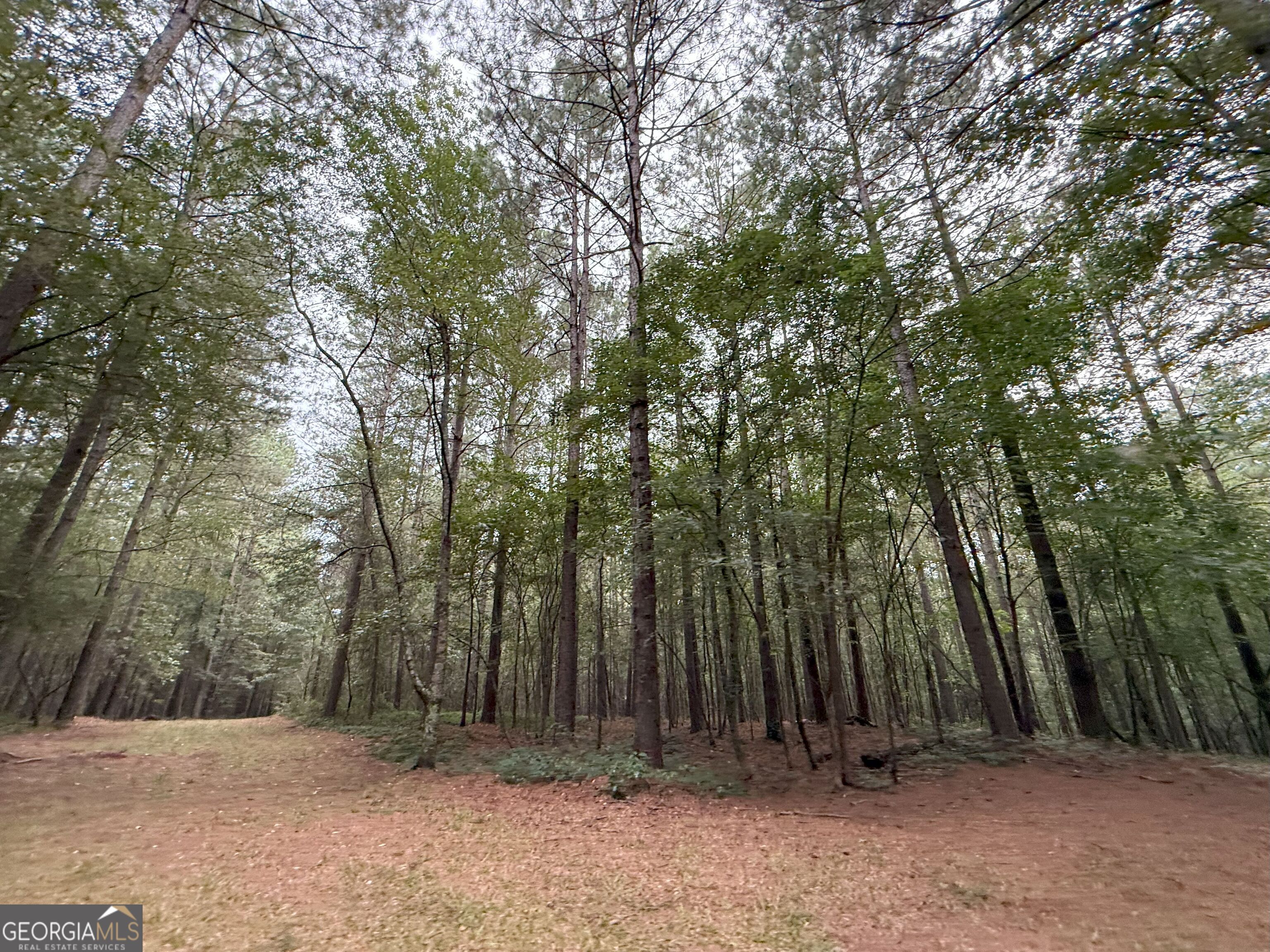 11 Owens Road Maysville, GA 30558 - Photo 135 of 147