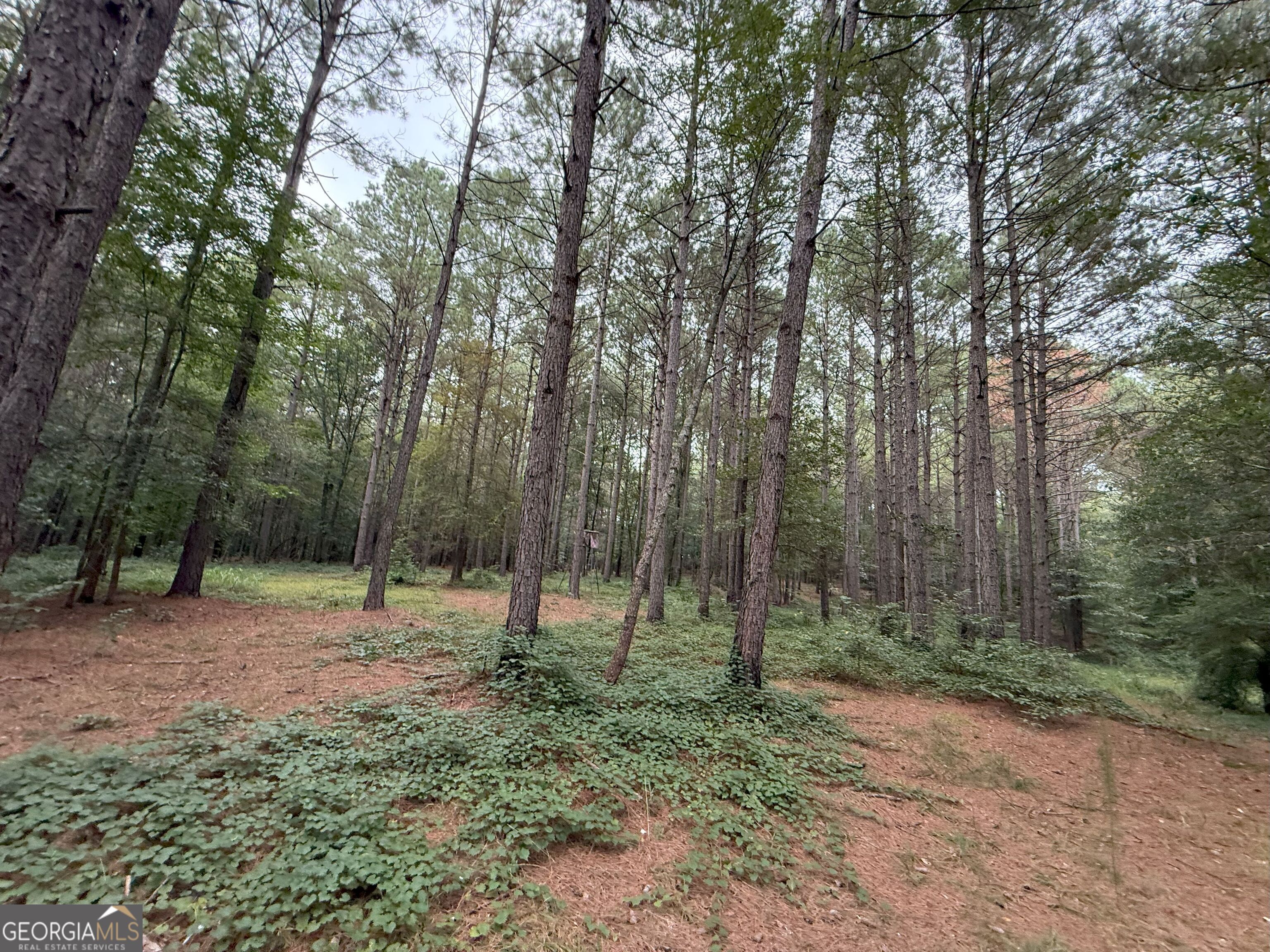 11 Owens Road Maysville, GA 30558 - Photo 136 of 147