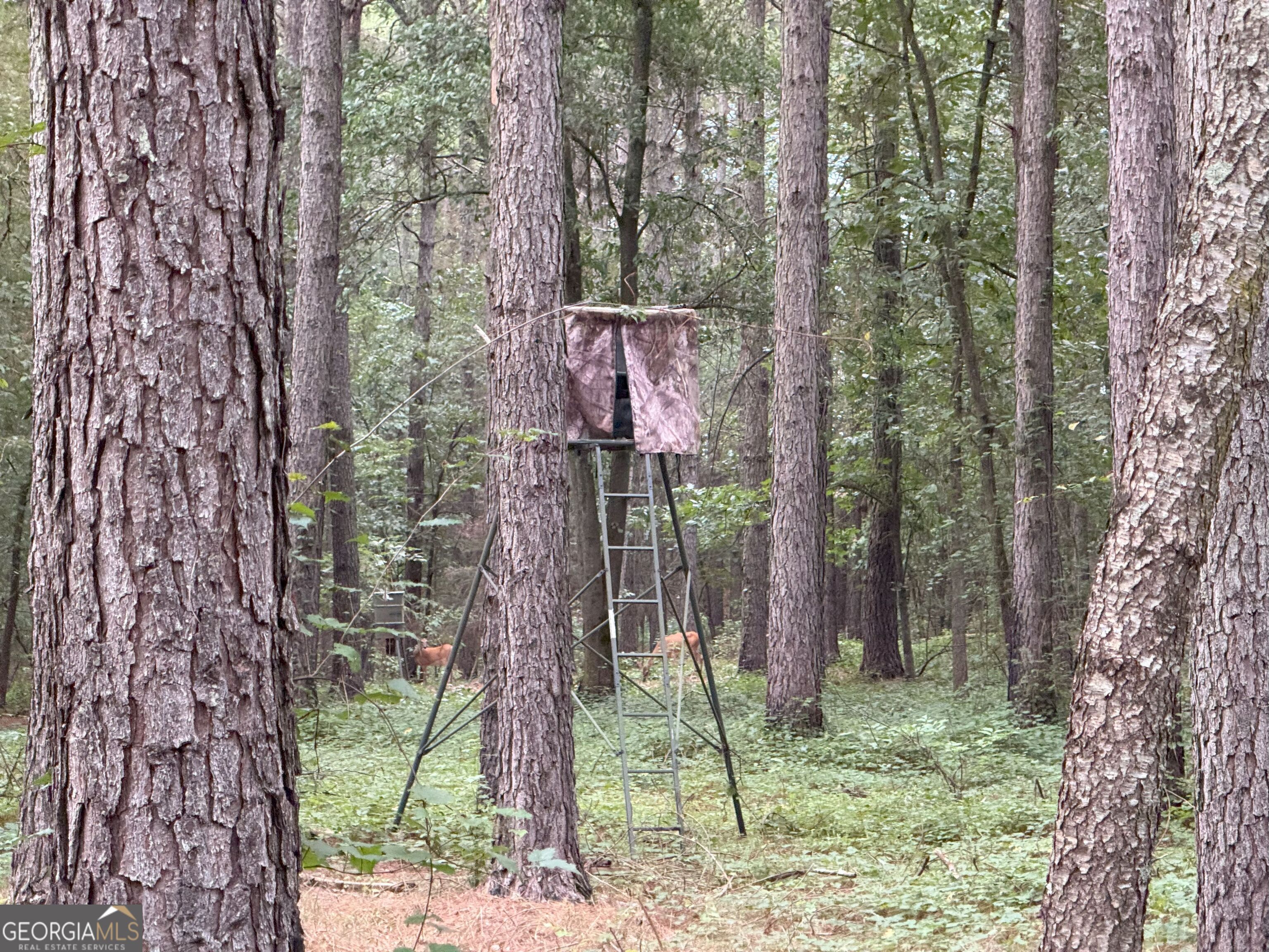 11 Owens Road Maysville, GA 30558 - Photo 137 of 147