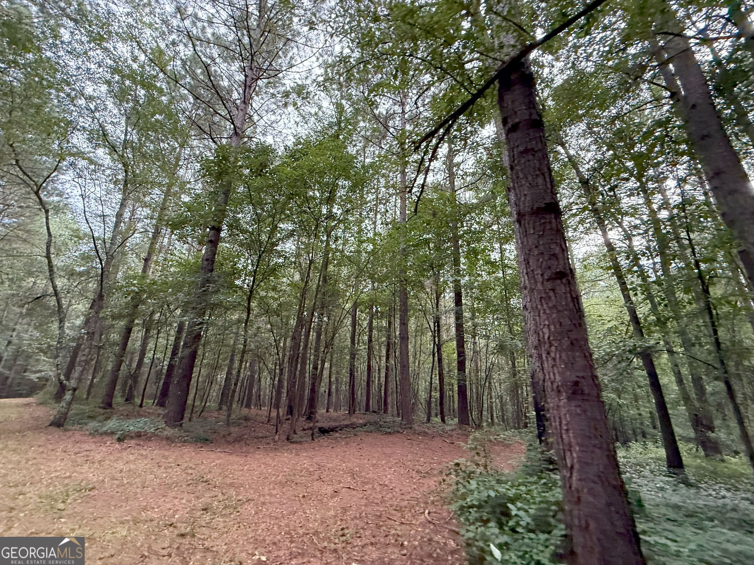 11 Owens Road Maysville, GA 30558 - Photo 138 of 147