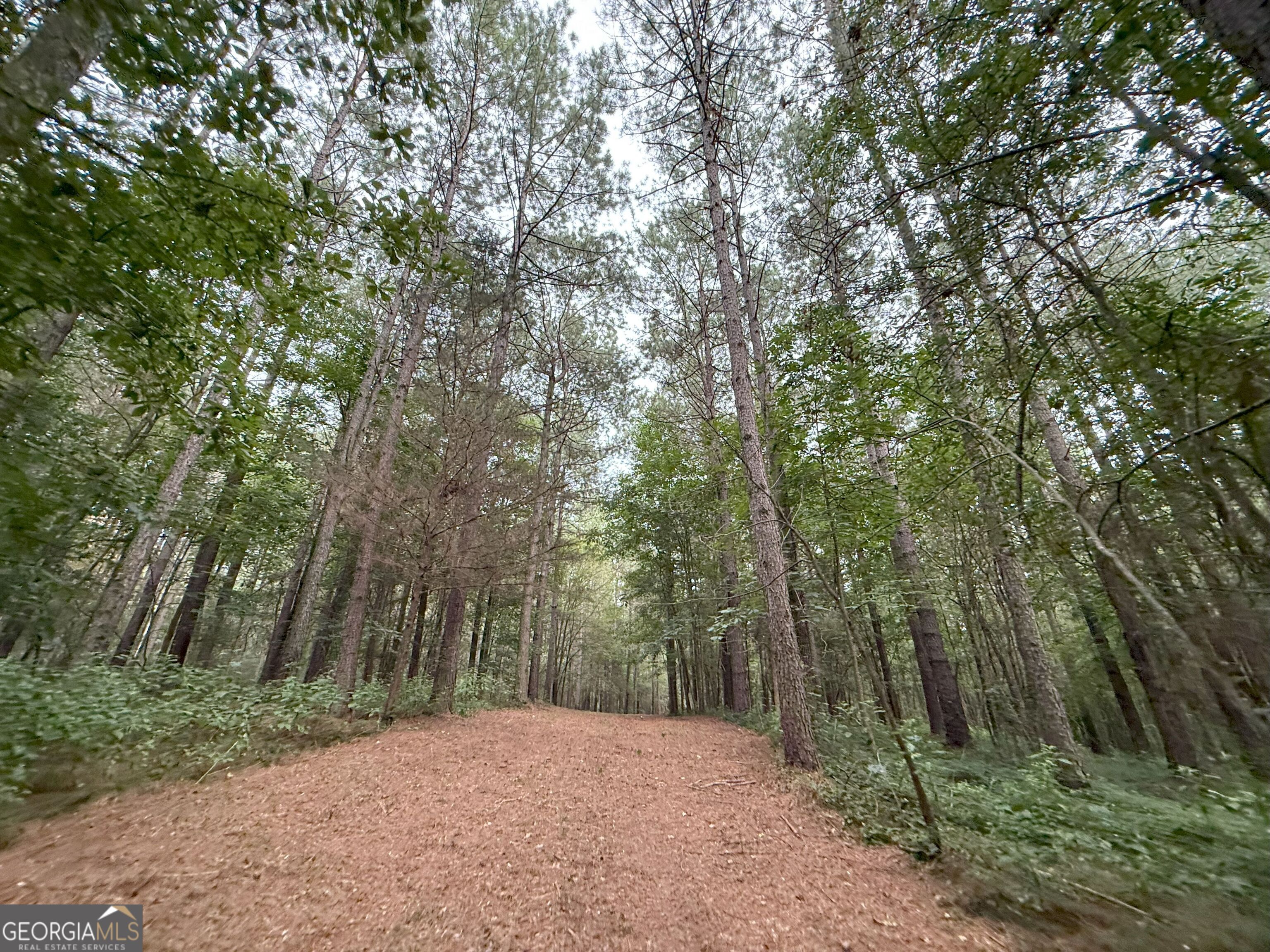 11 Owens Road Maysville, GA 30558 - Photo 141 of 147