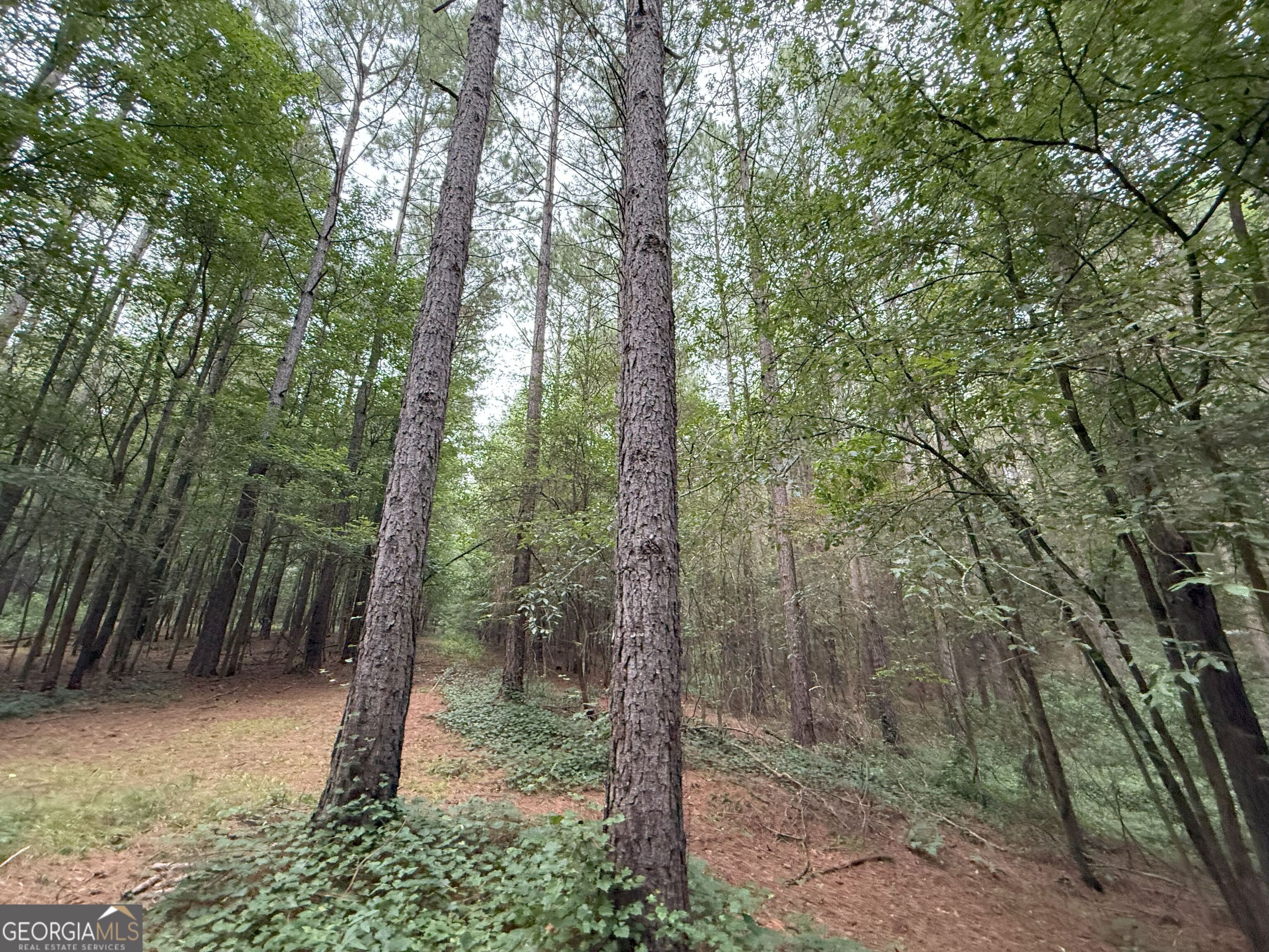 11 Owens Road Maysville, GA 30558 - Photo 142 of 147