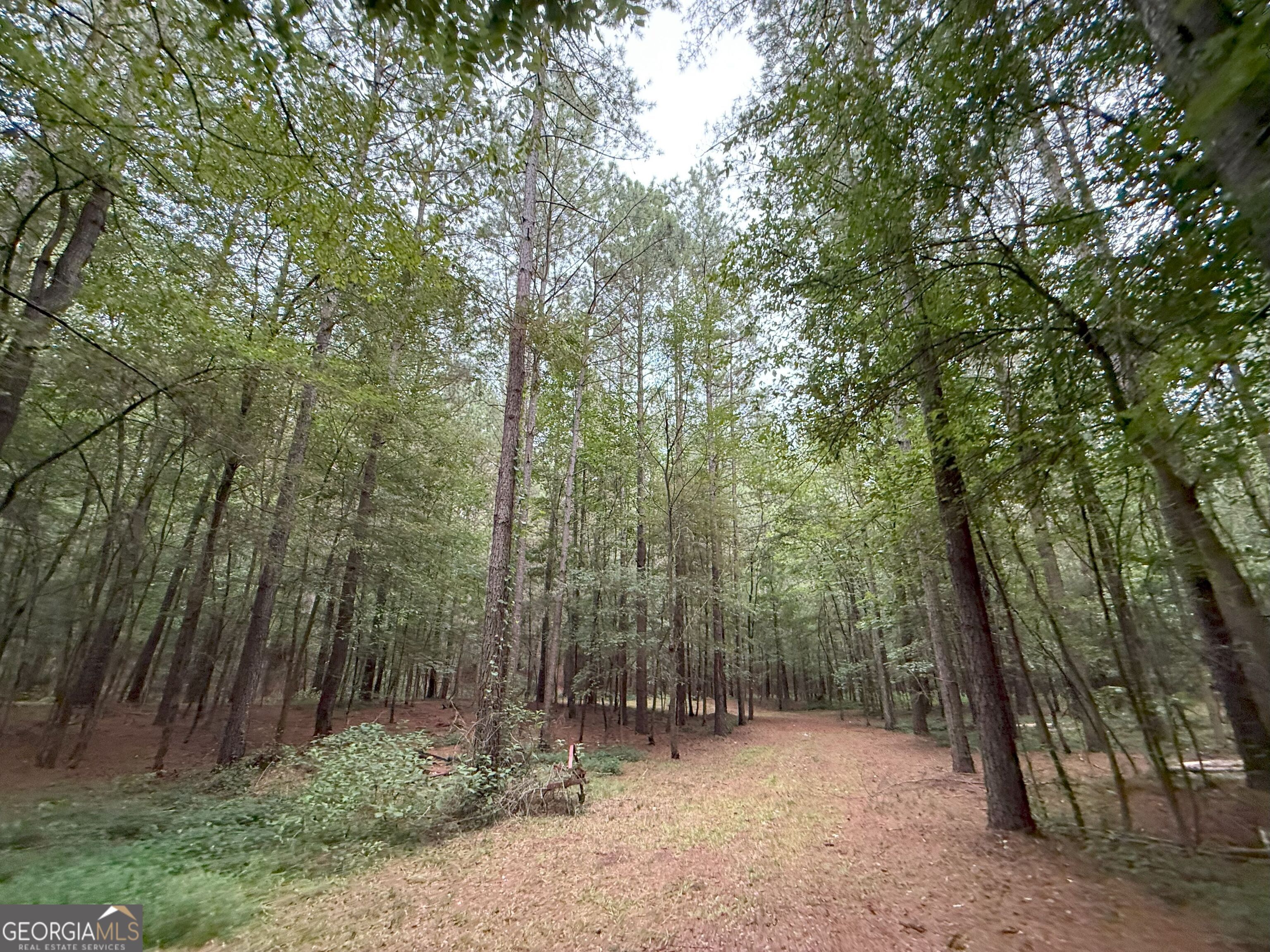 11 Owens Road Maysville, GA 30558 - Photo 145 of 147