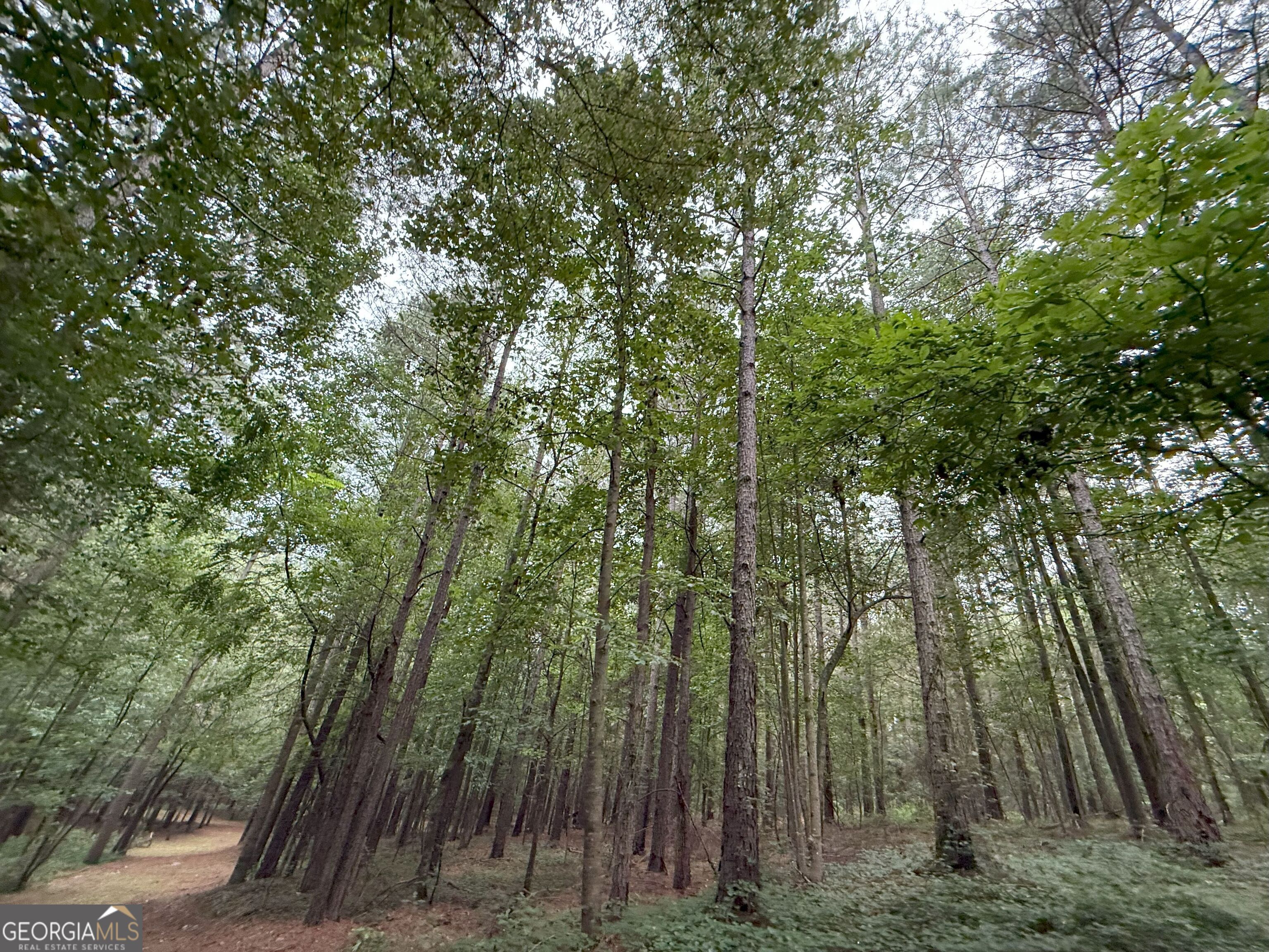 11 Owens Road Maysville, GA 30558 - Photo 146 of 147