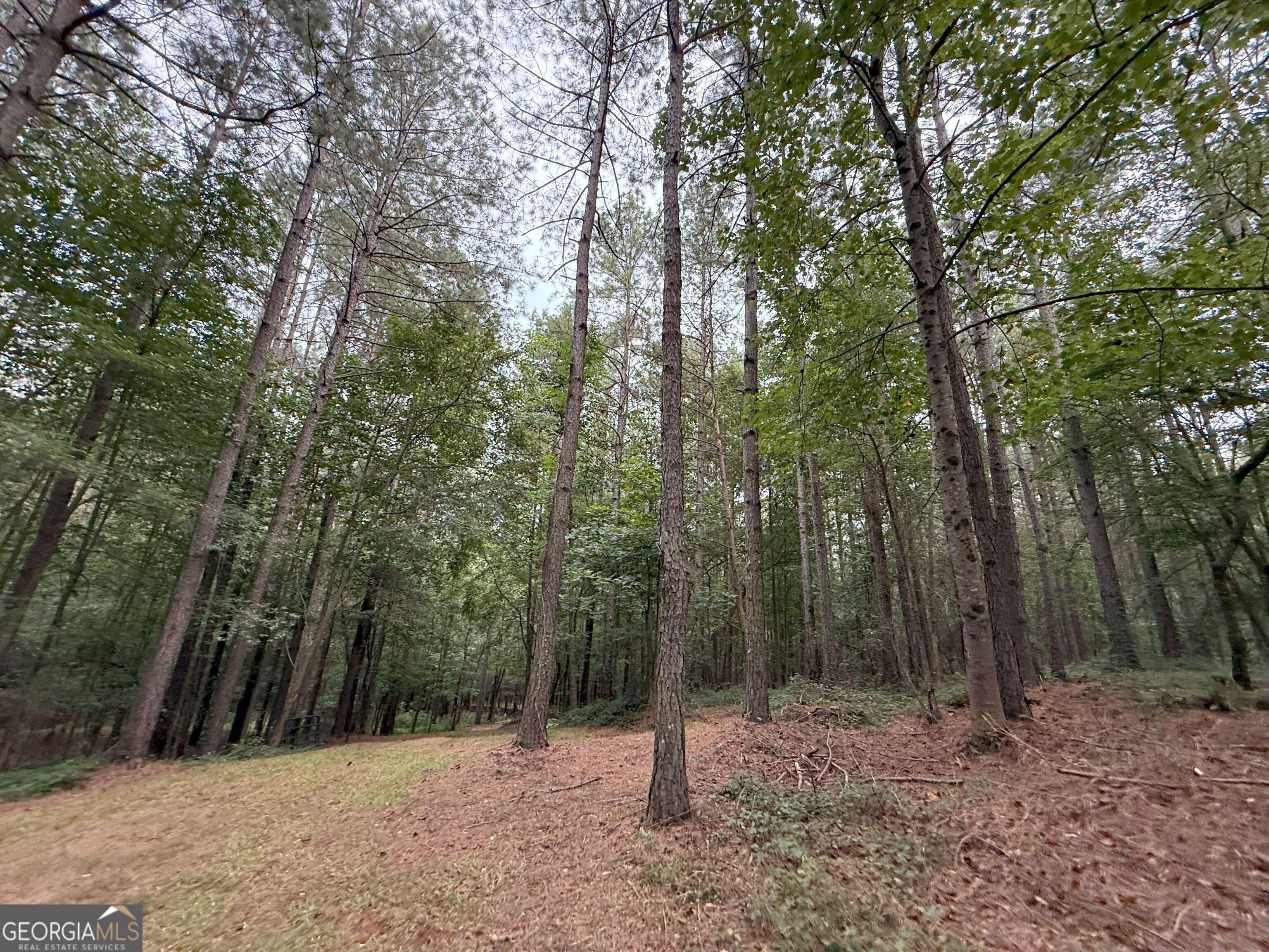 11 Owens Road Maysville, GA 30558 - Photo 147 of 147 a view of outdoor space and trees