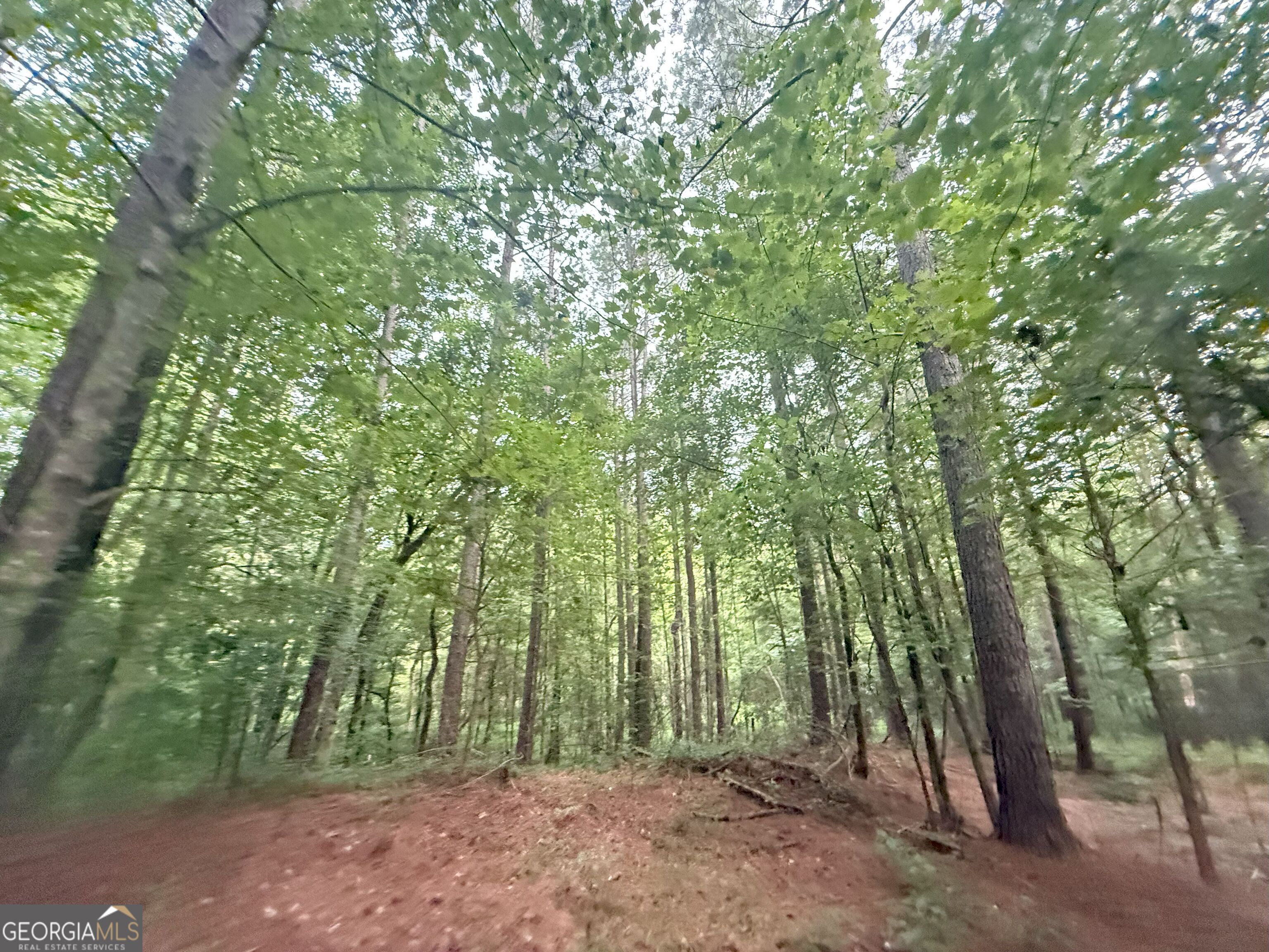 11 Owens Road Maysville, GA 30558 - Photo 15 of 147 a view of outdoor space and trees