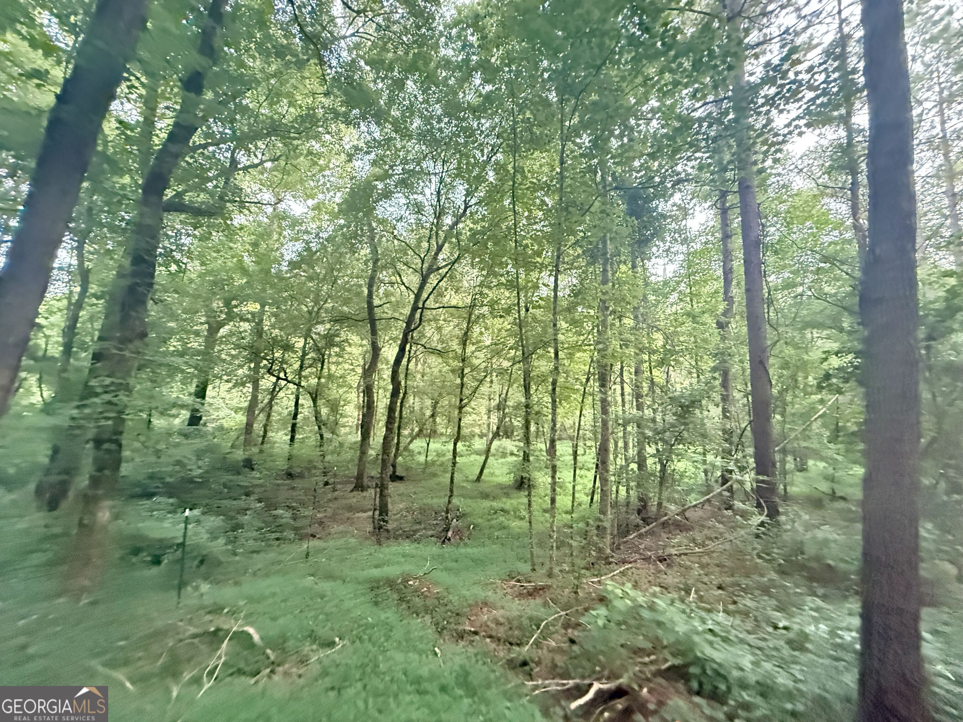 11 Owens Road Maysville, GA 30558 - Photo 16 of 147