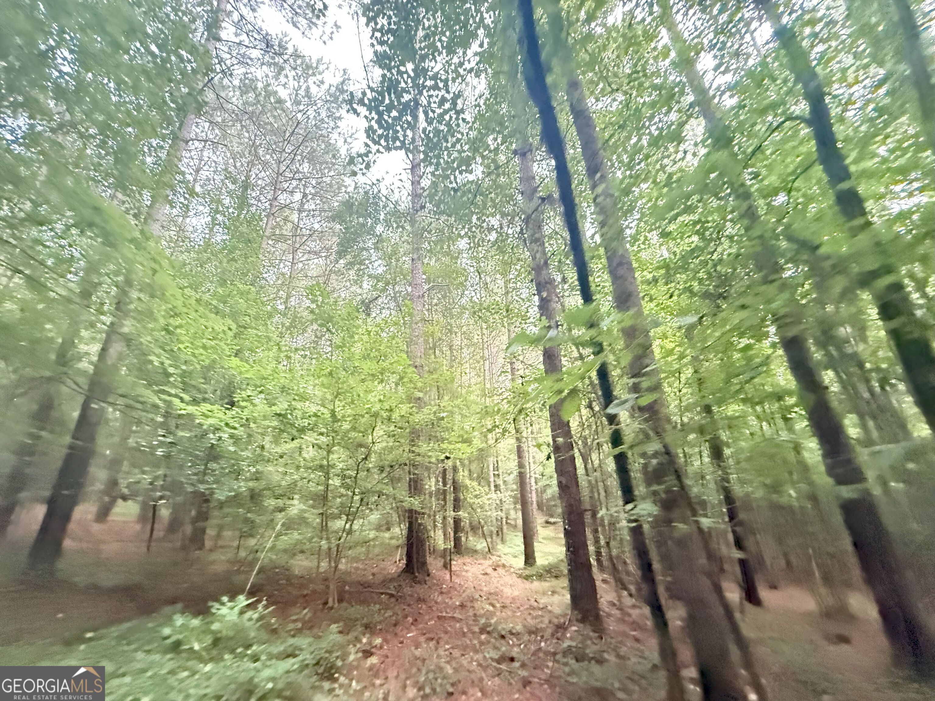 11 Owens Road Maysville, GA 30558 - Photo 17 of 147