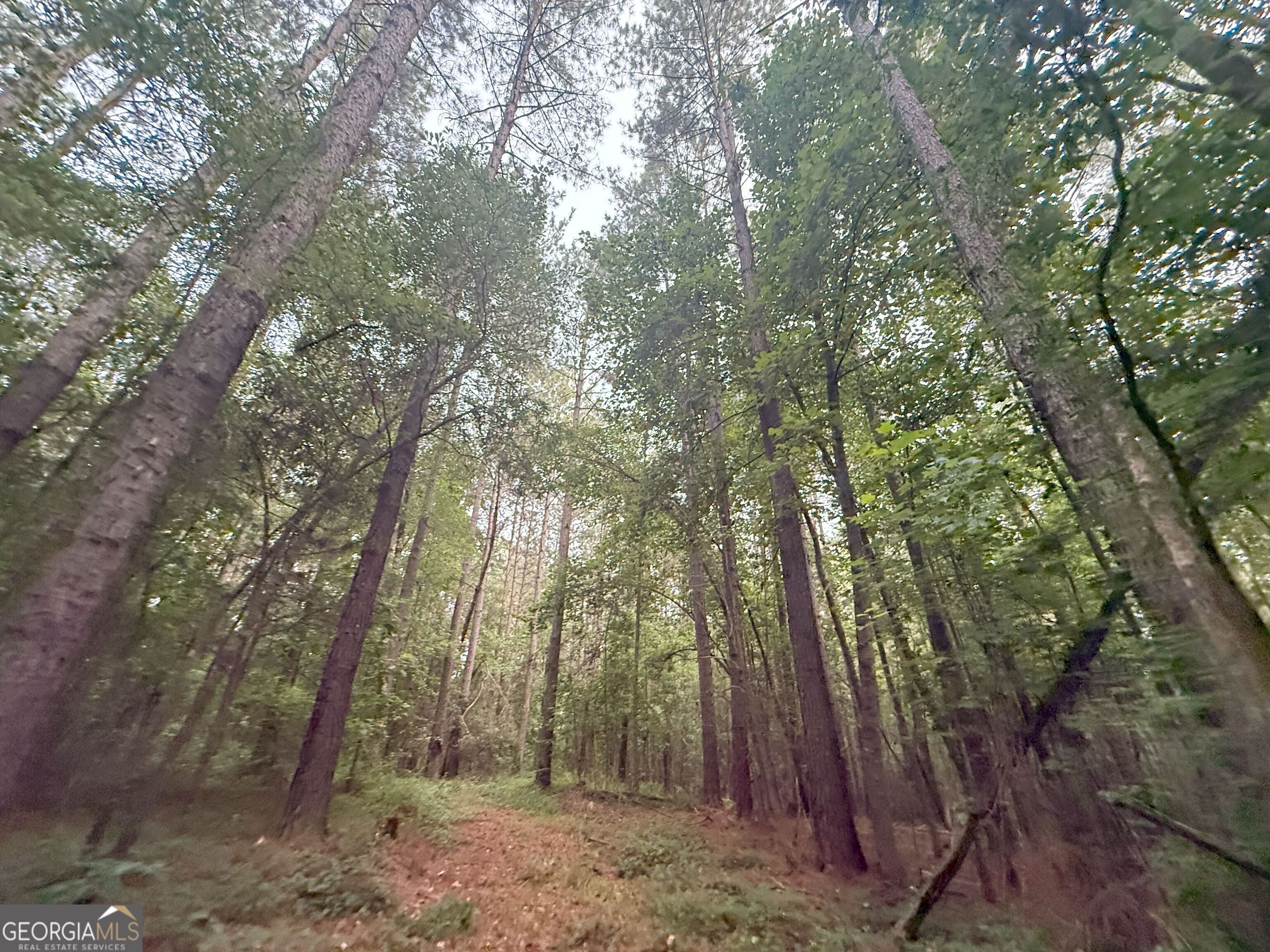 11 Owens Road Maysville, GA 30558 - Photo 18 of 147